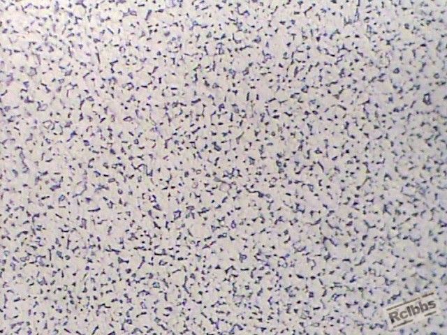 7.45mm   ×500