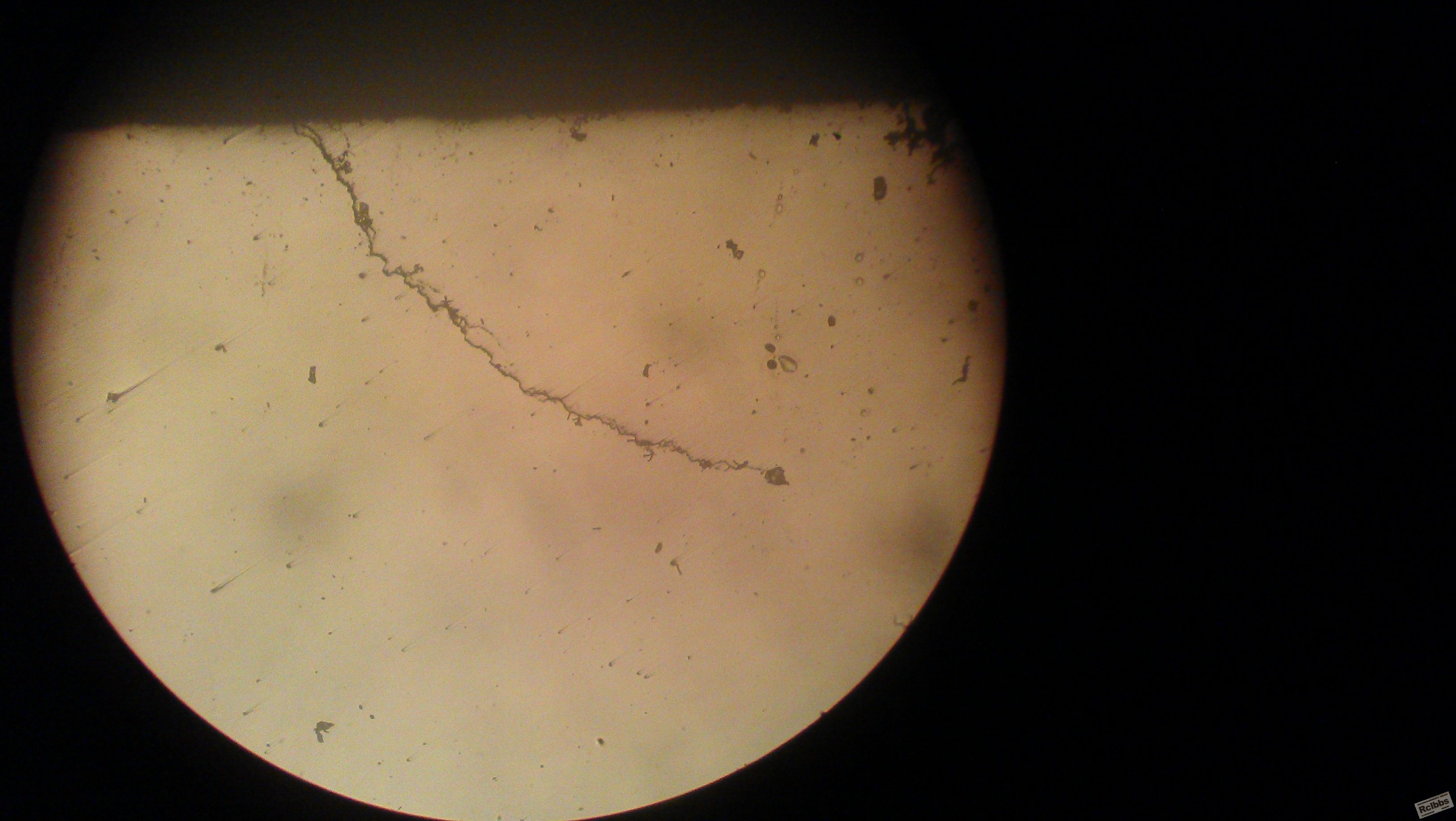 IMAG0820.jpg
