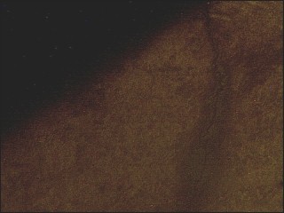 G32.204.11  100X (2).jpg