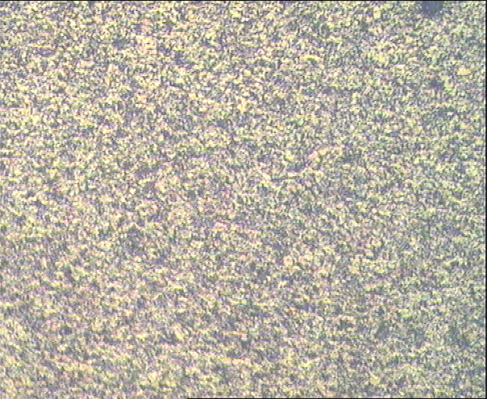 200x_6_3.jpg