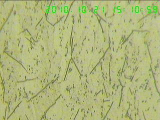 1654346qt1x8gq6u8wxmwn.jpg