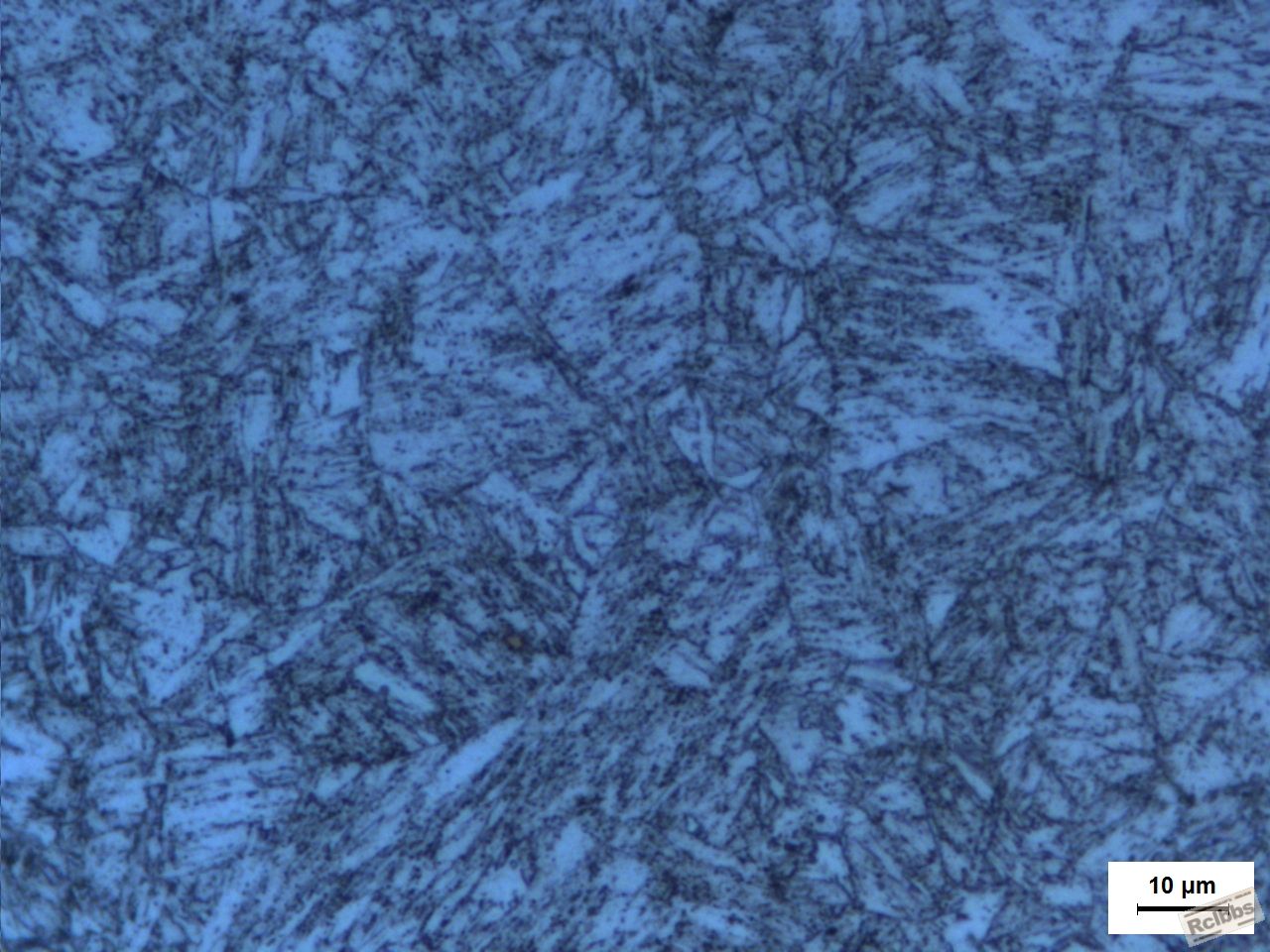 10B21回火组织4.JPG