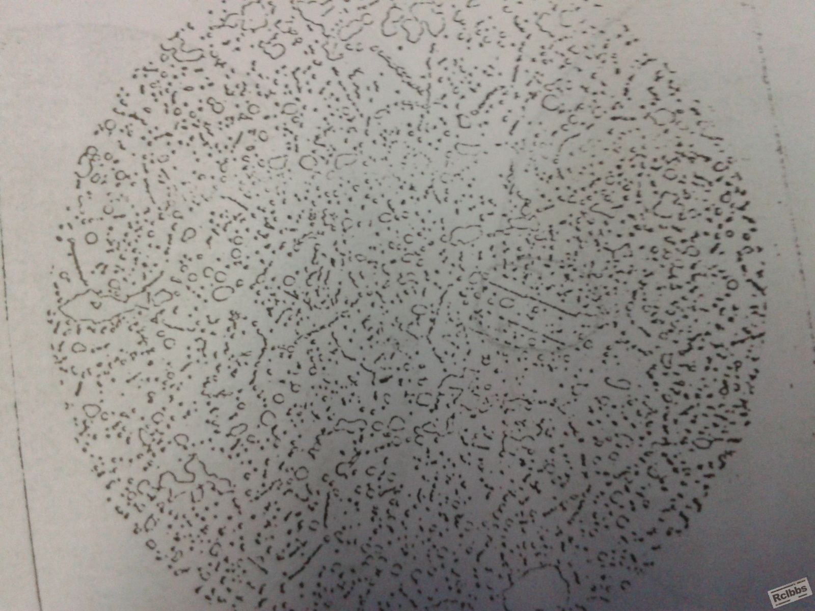 C360_2012-09-25-10-29-53_org.jpg