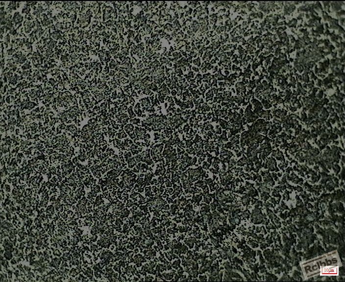 PP933  2012-9-27.JPG