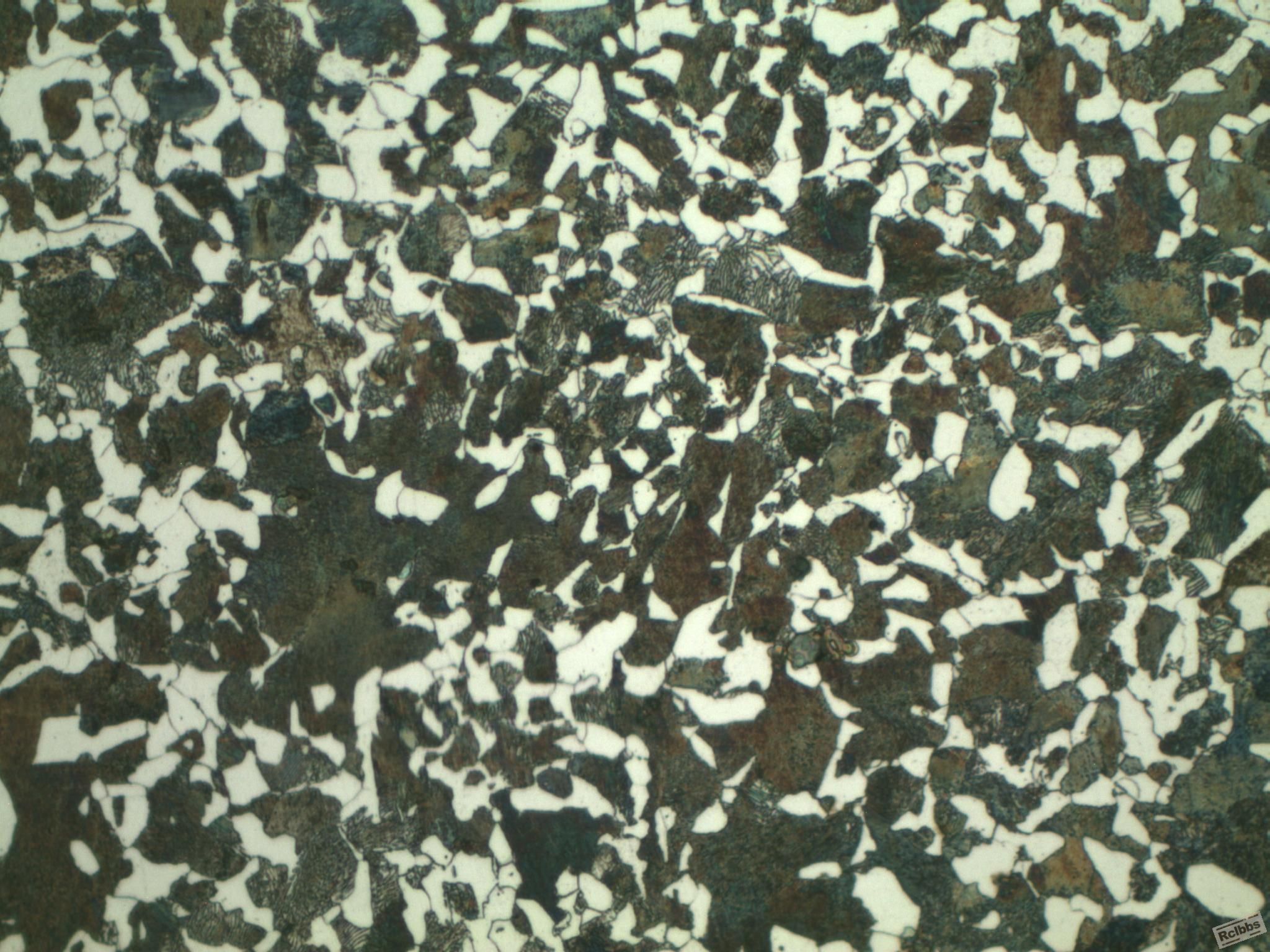 珠光体铁素体500x6.Jpg