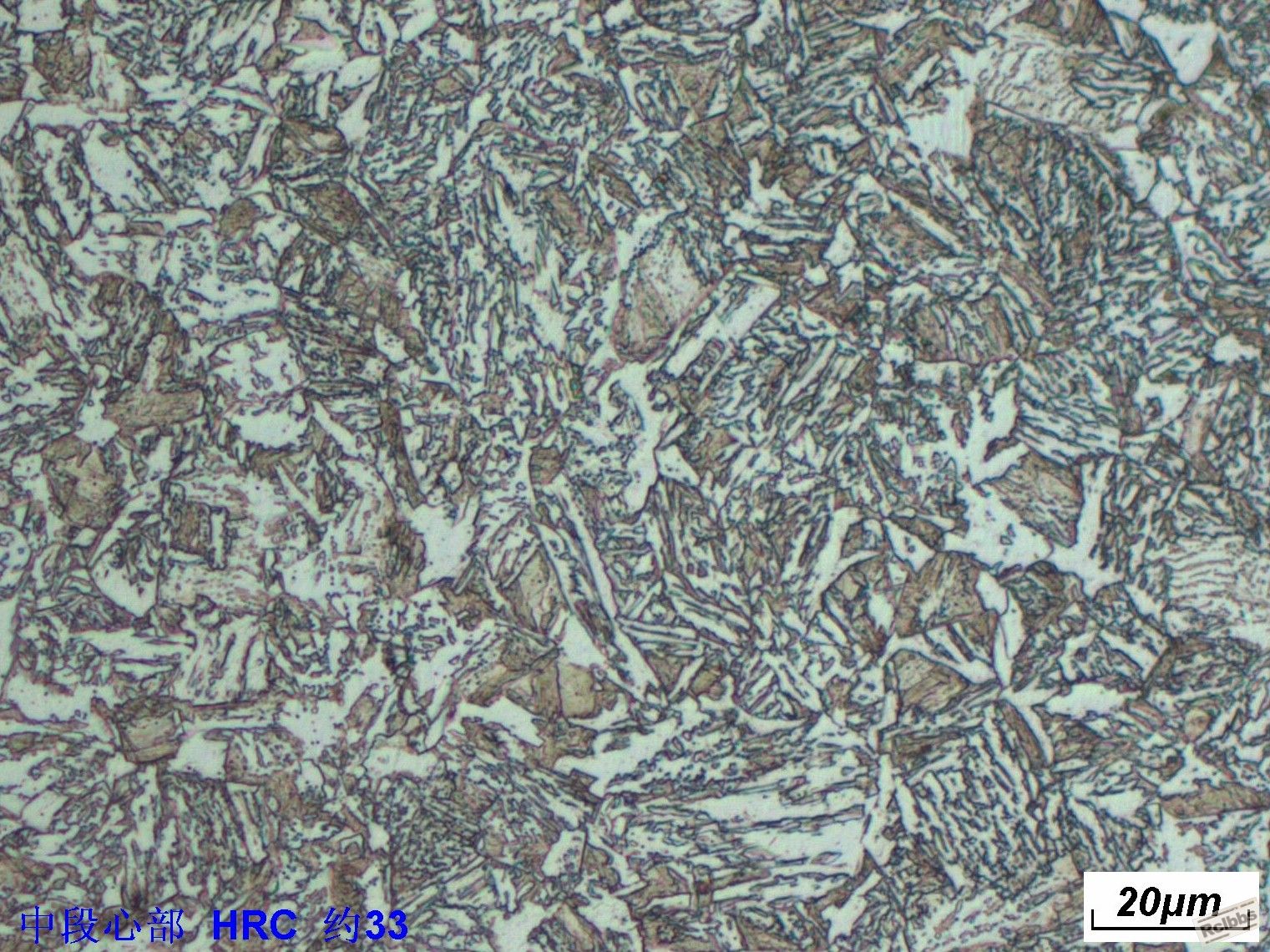 20cmt500a.jpg