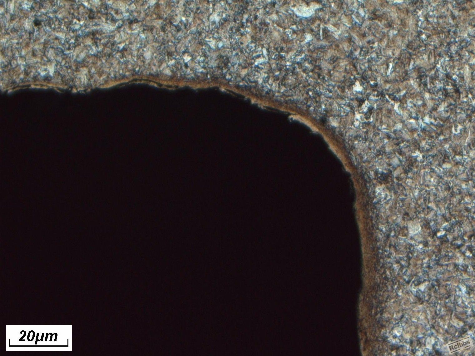 20cmt100a.jpg