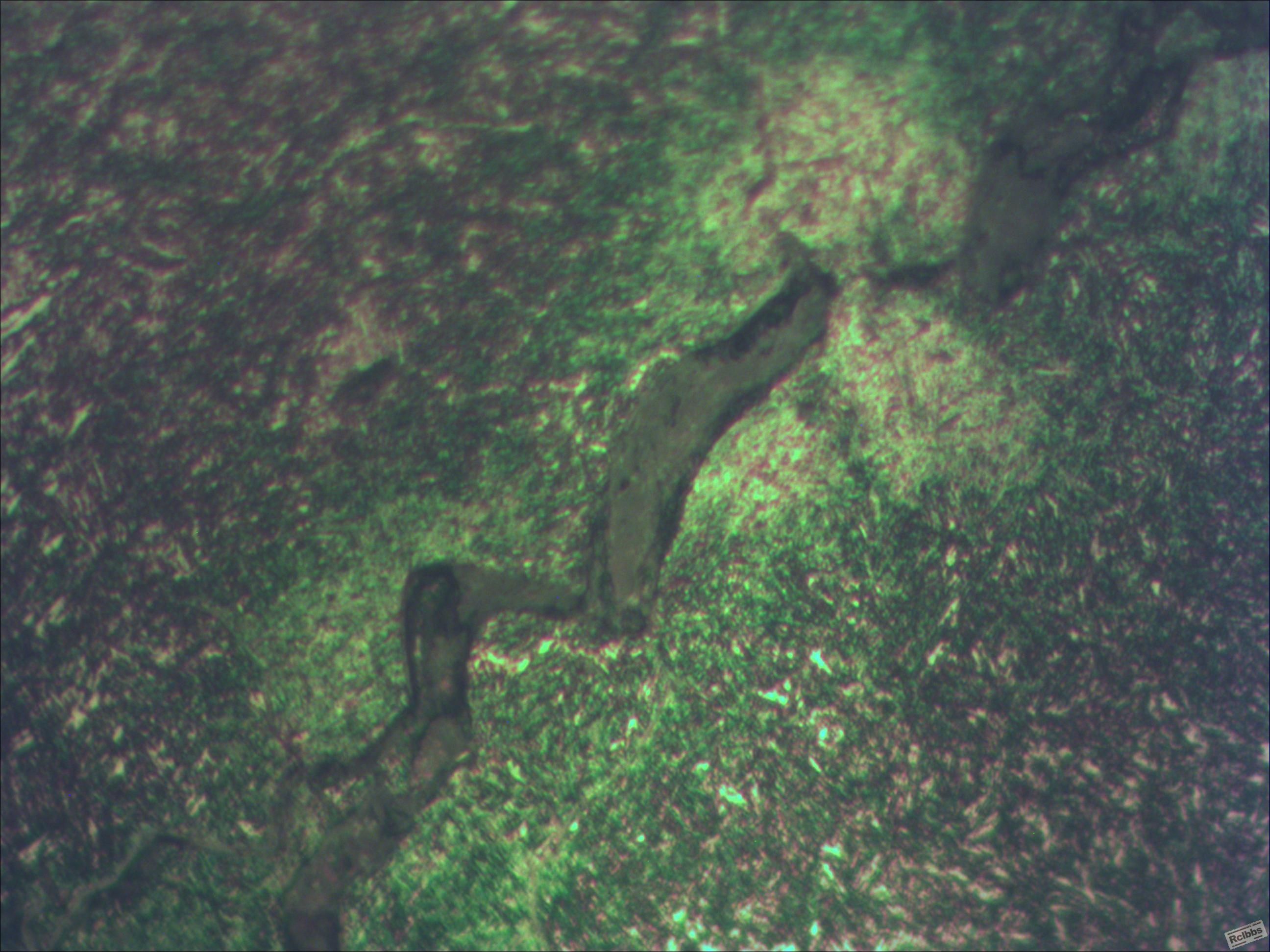40X-8物镜.JPG