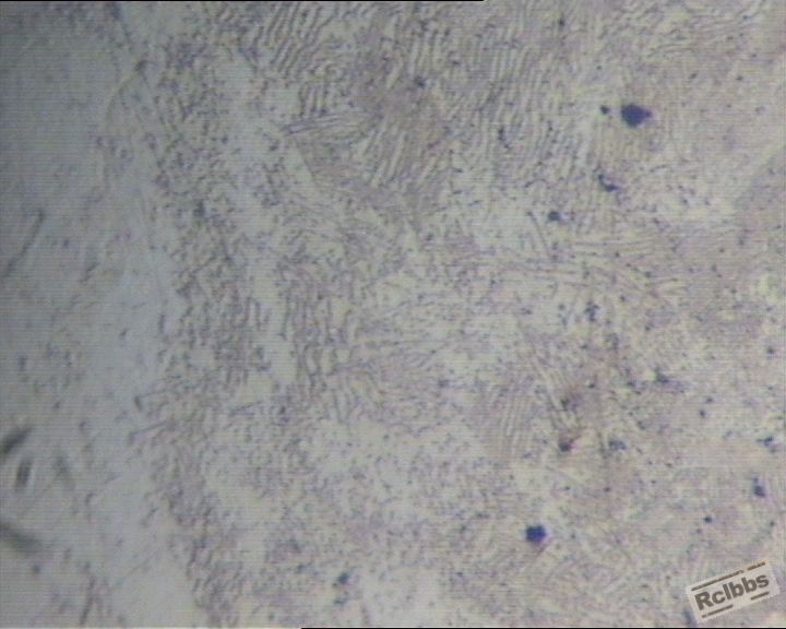 球化51欠热20121012.jpg