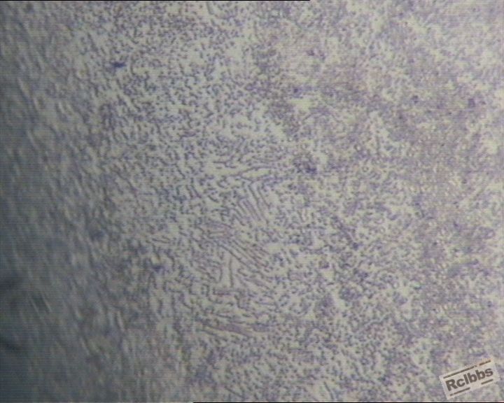20121012球化42欠热.jpg