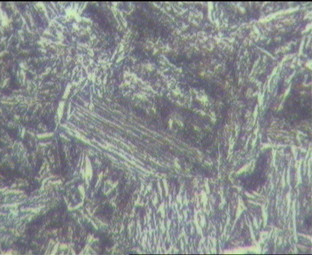 叉耳试棒400x(10-18)4深腐蚀.jpg