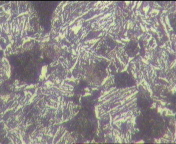 叉耳试棒400x(10-18)5深腐蚀.jpg