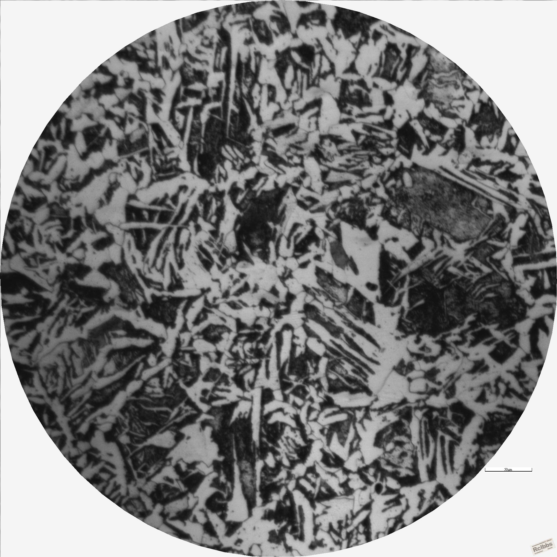 10X物镜-1.JPG