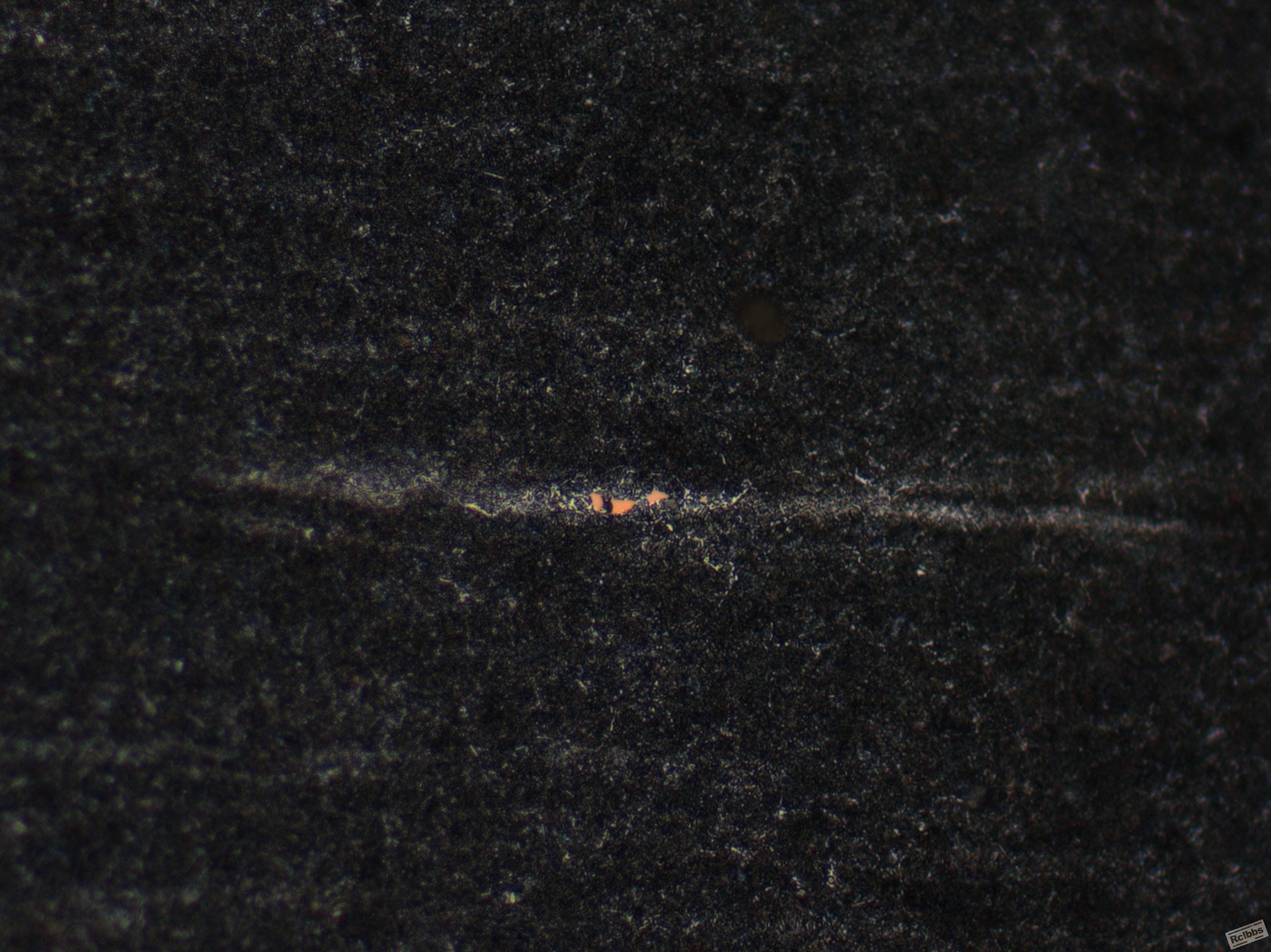 SNAP-112356-0001.jpg
