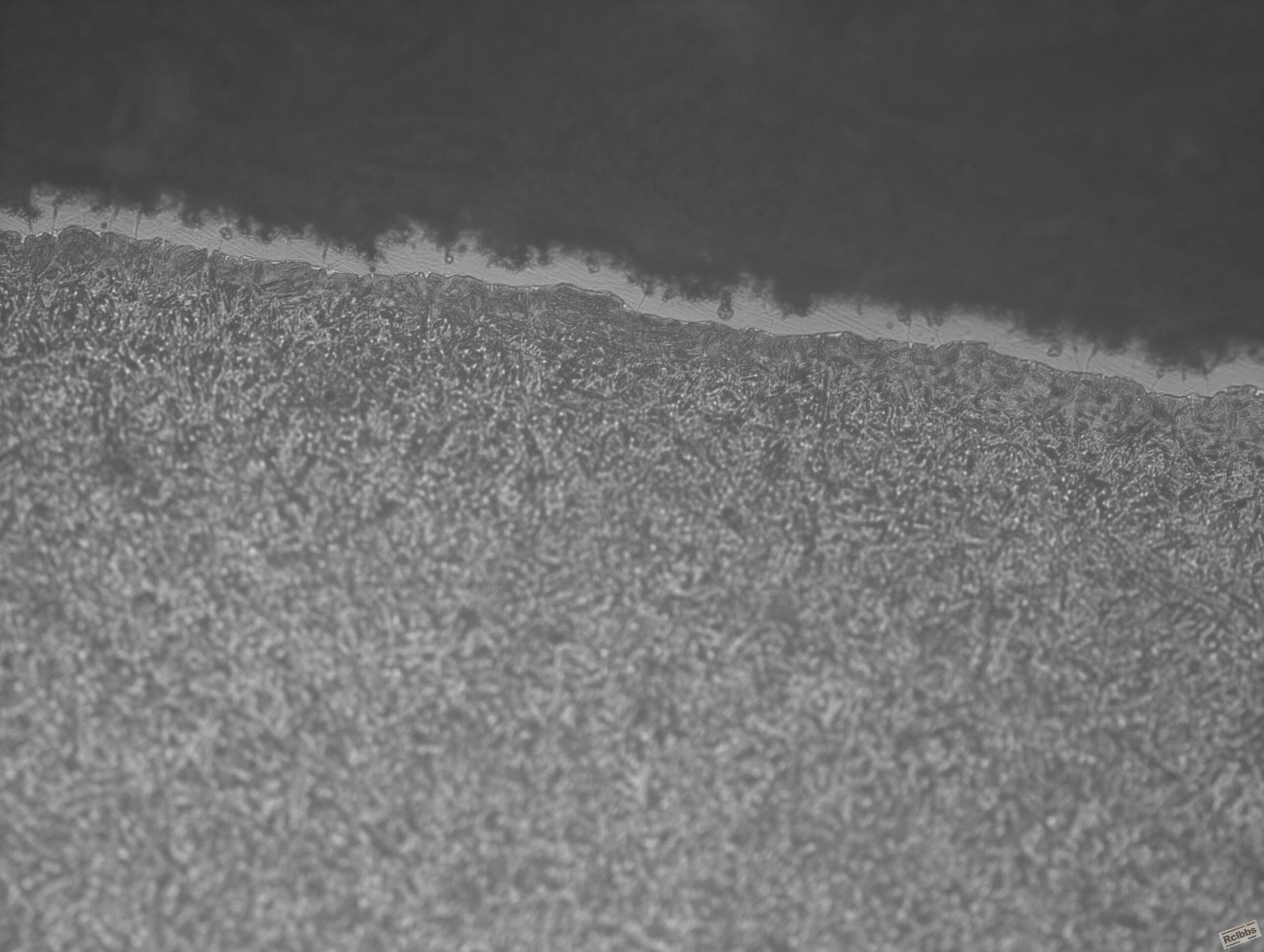 40Cr-6image_400x.jpg