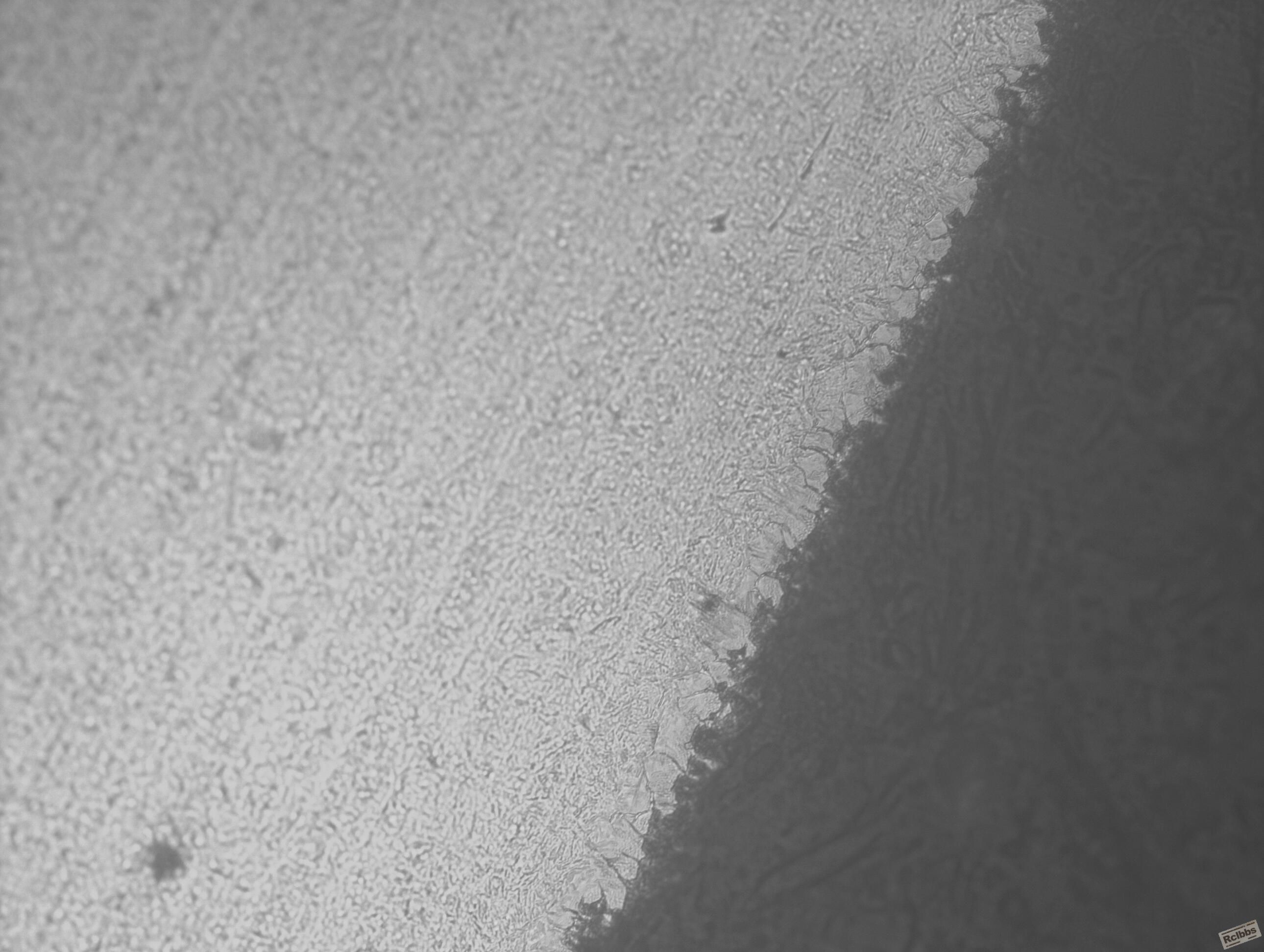 40Cr-2image_400x.jpg