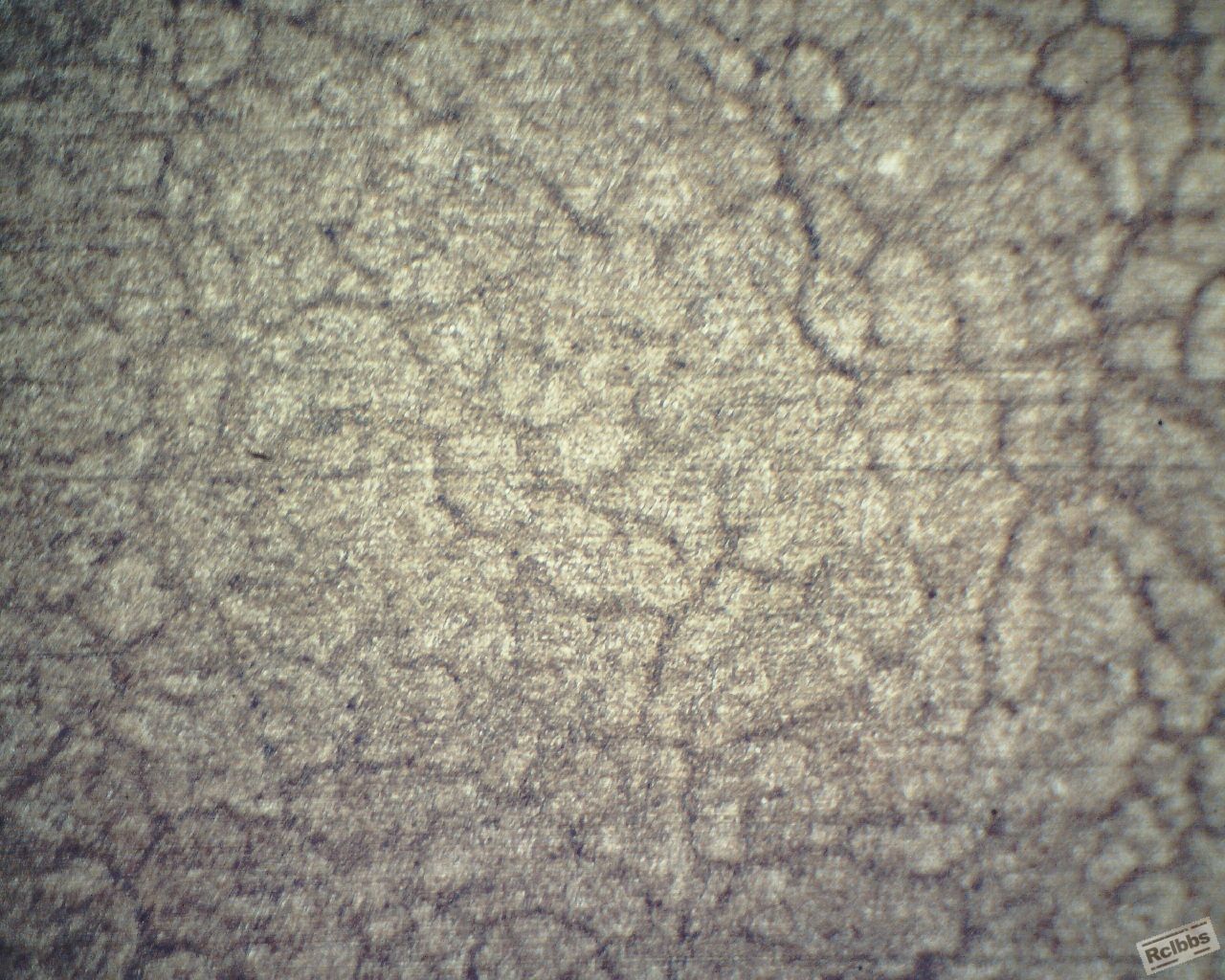 H13H50倍1 (1280x1024).jpg