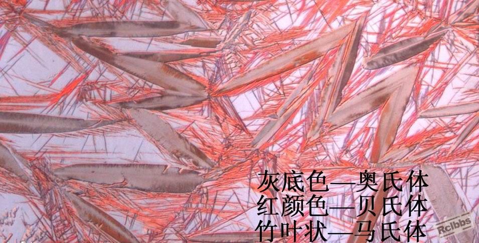 金相1.jpg