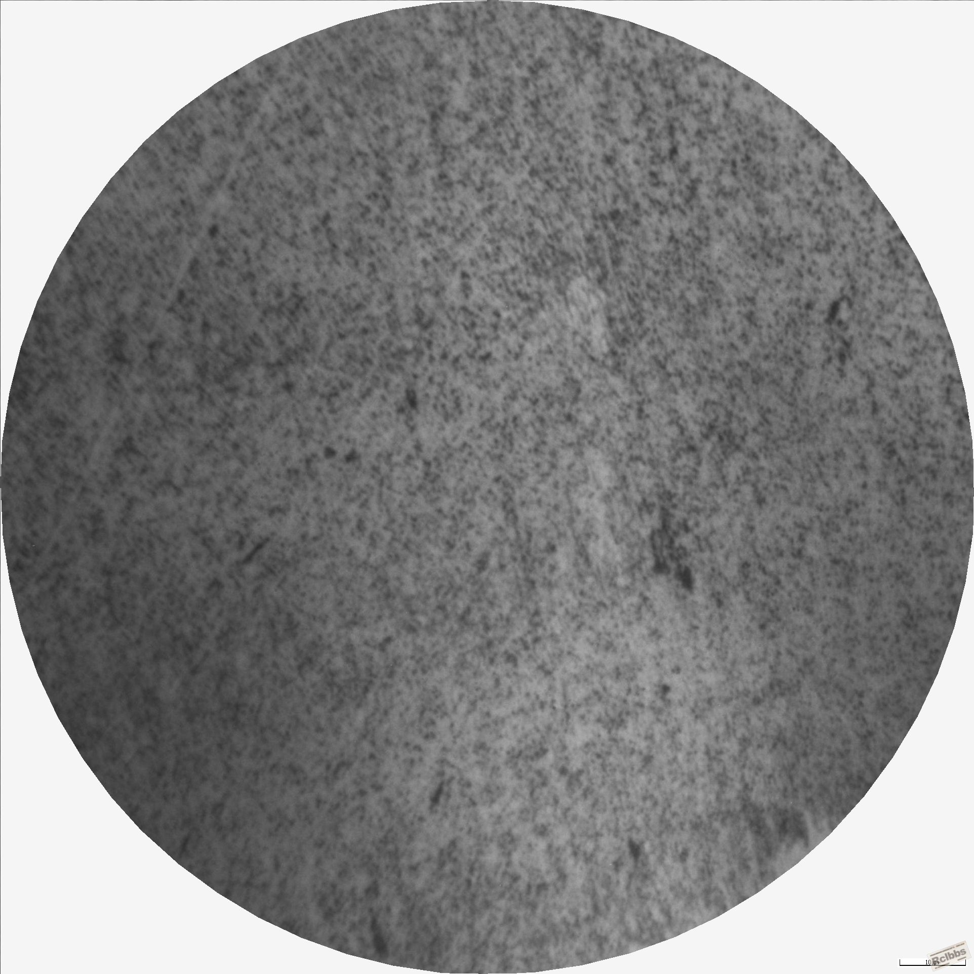 40×物镜4.JPG
