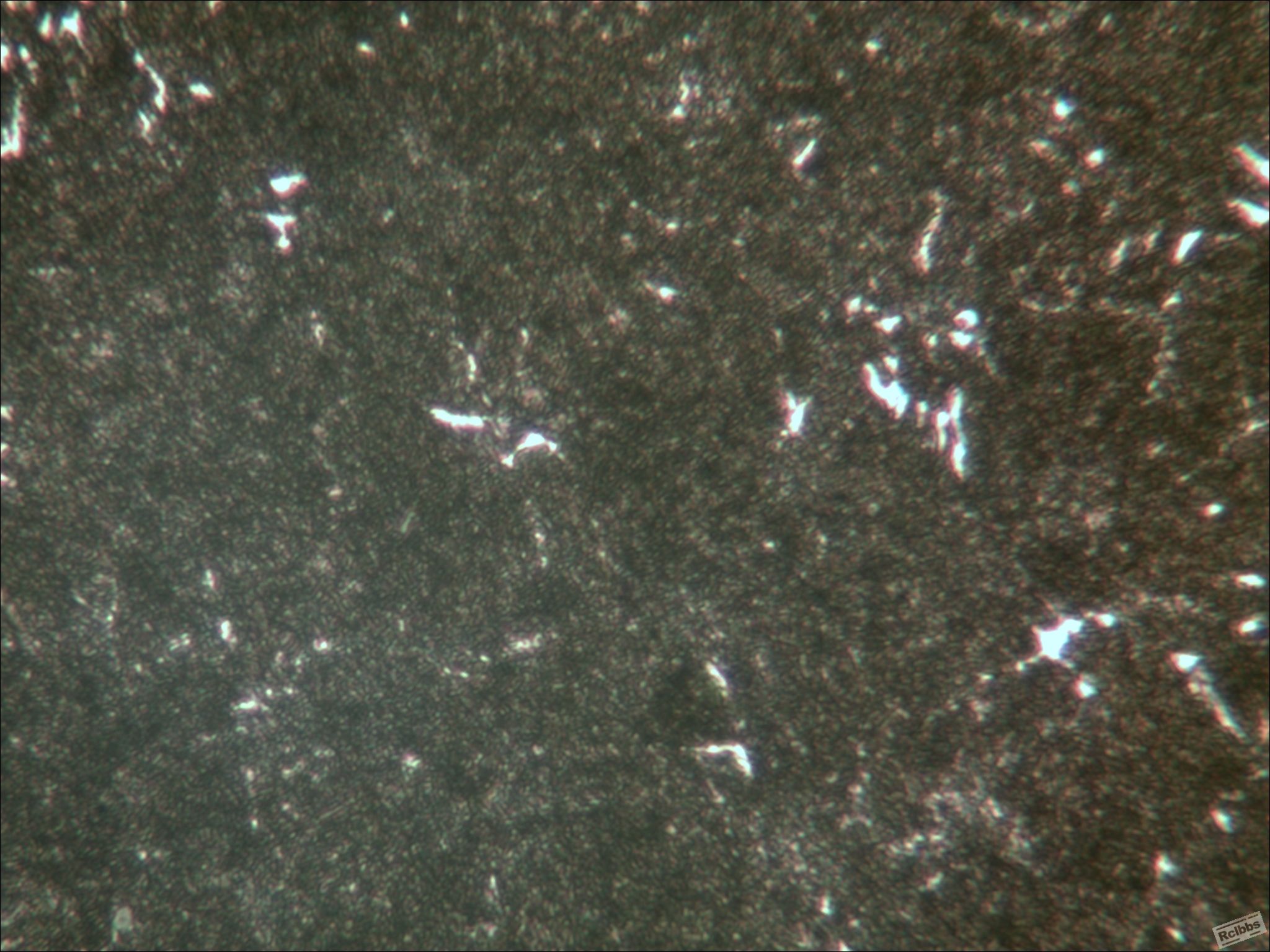 2012103003.jpg