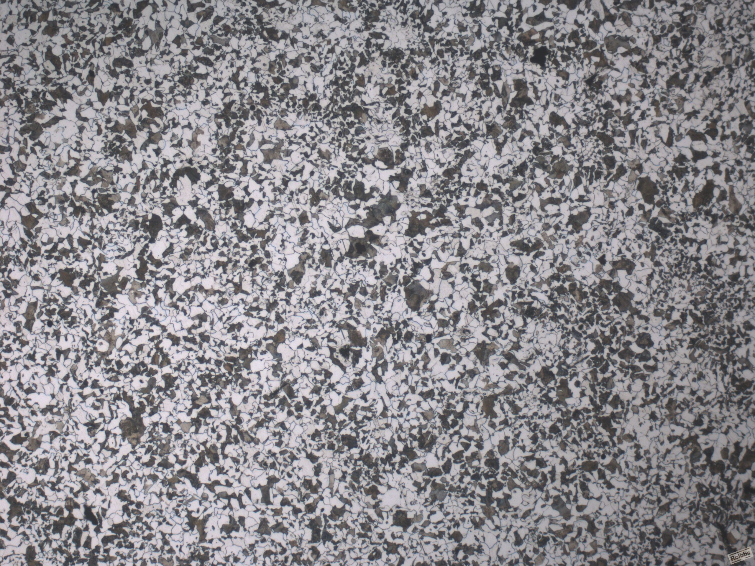 1002-100x.JPG