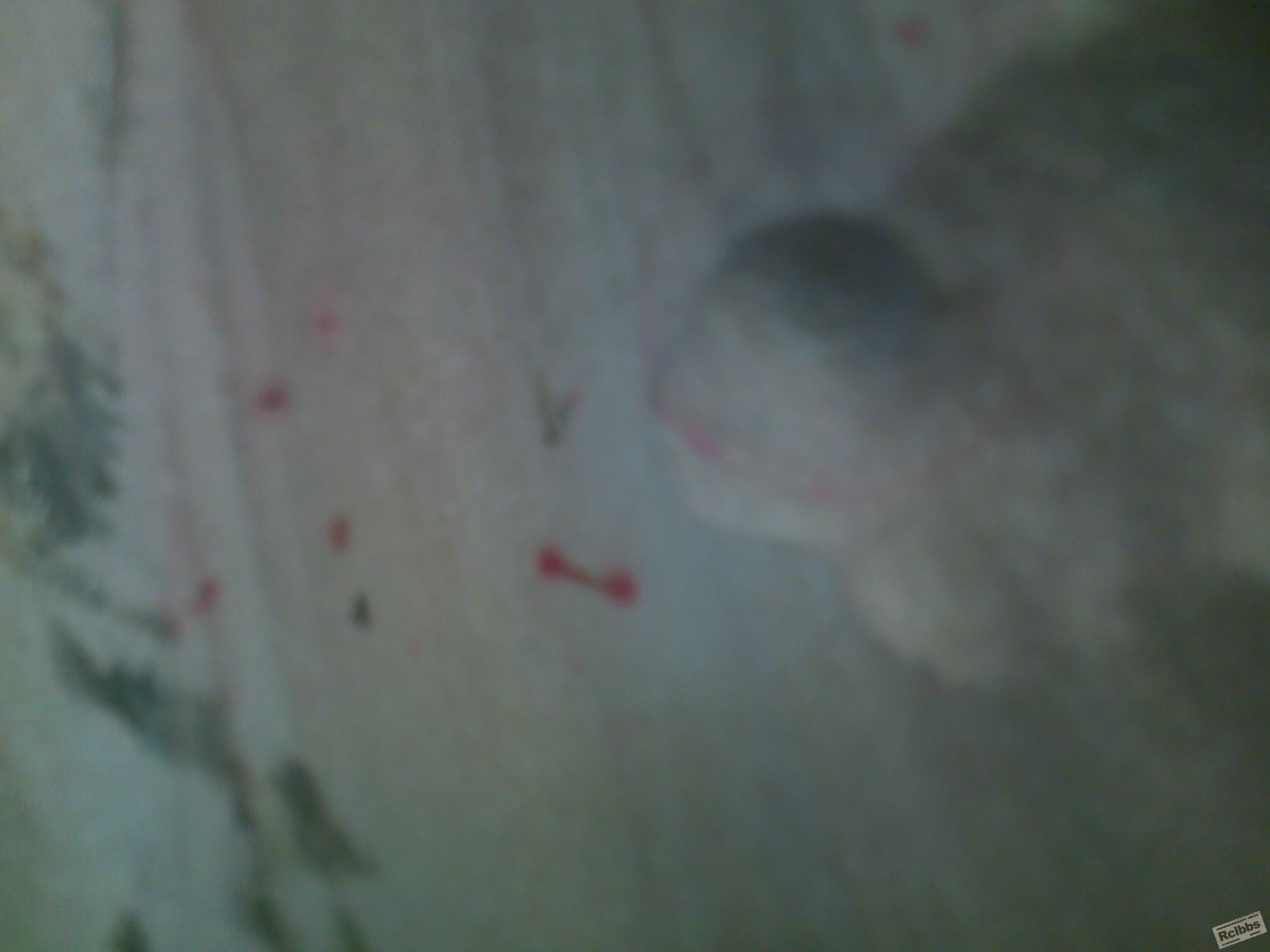 201211071884.jpg