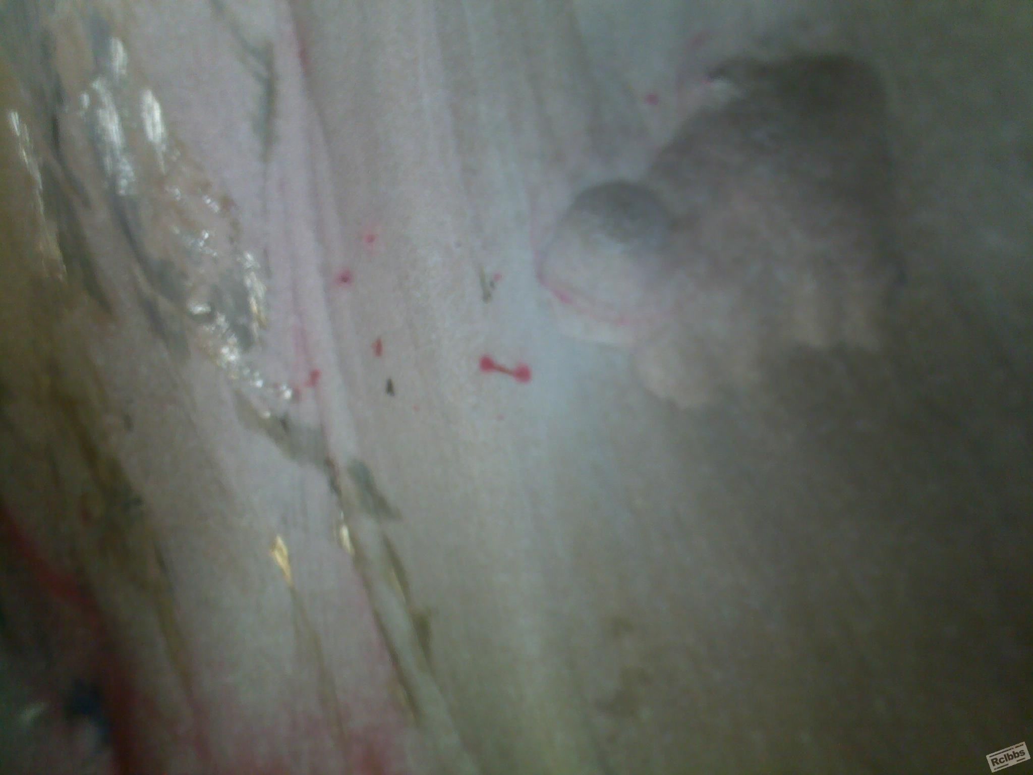 201211071885.jpg