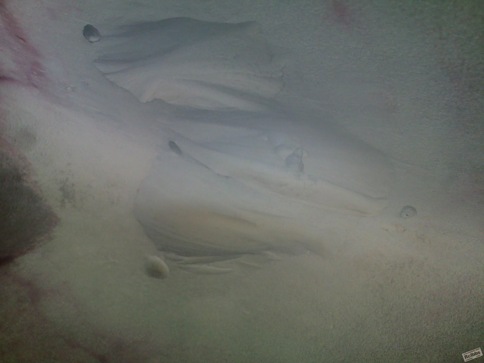 201211071887.jpg