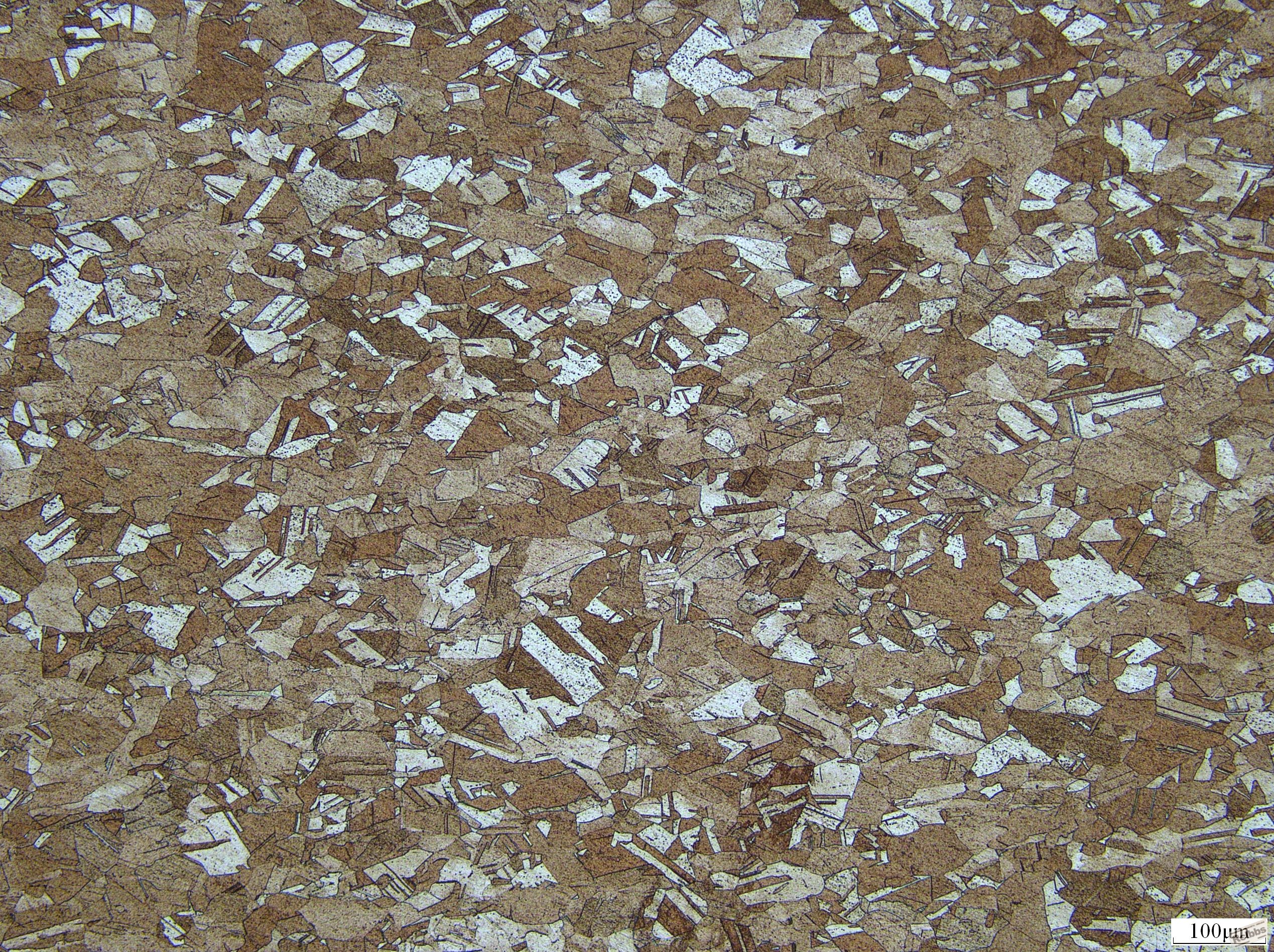 100x  0.55mm493.JPG