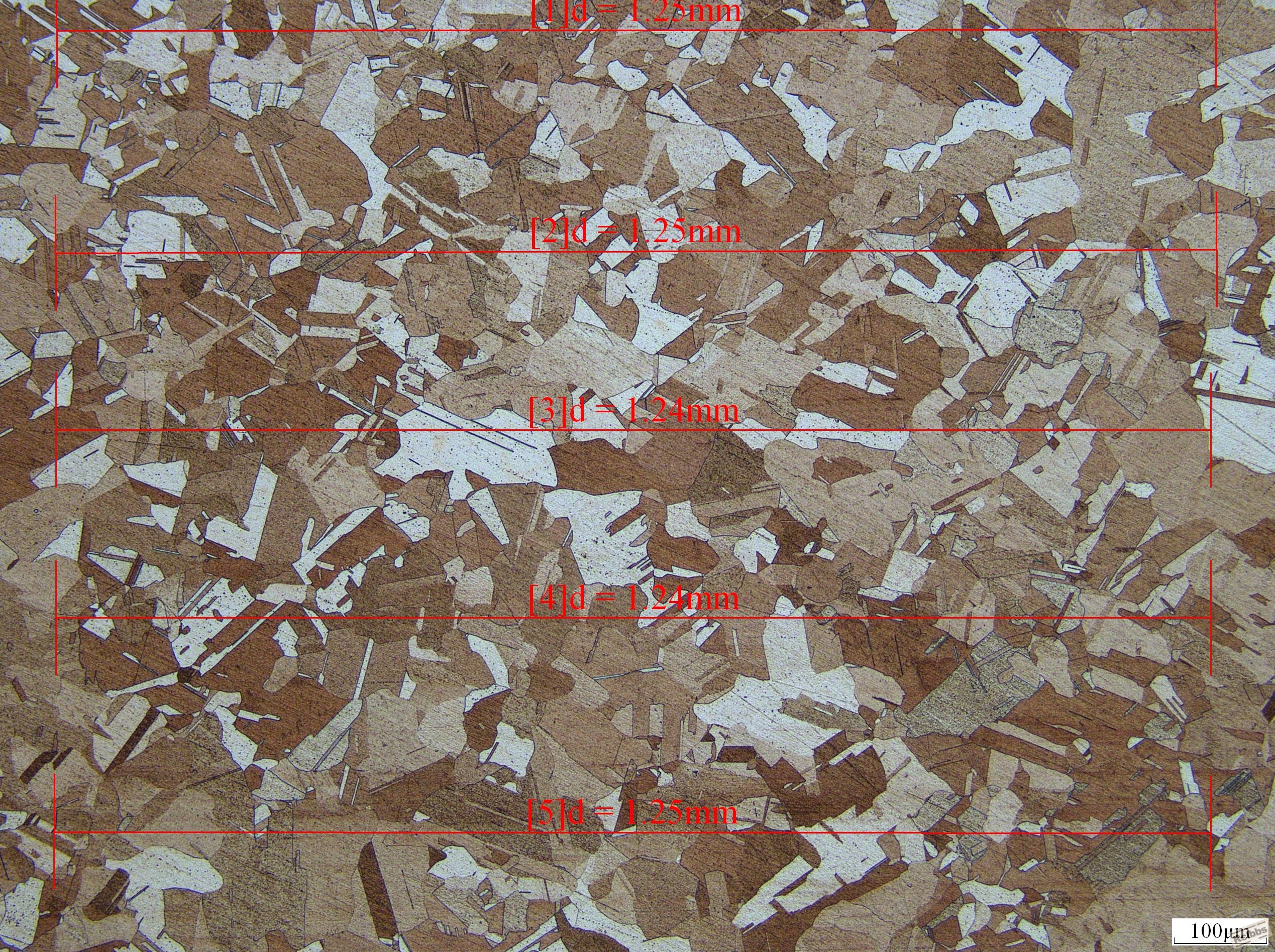 493-1 0.08m.JPG