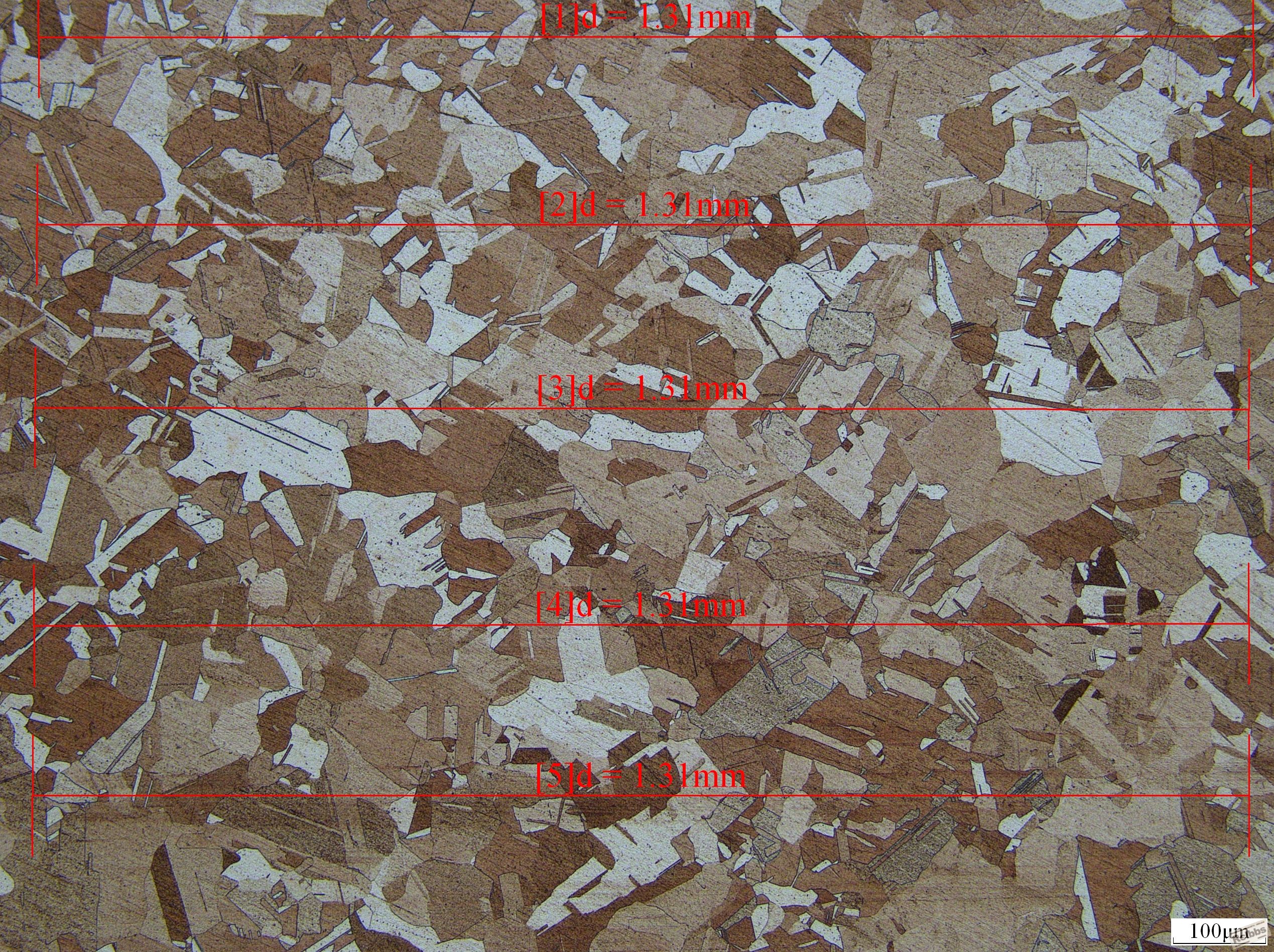 493-1 0.09mm 100x.JPG