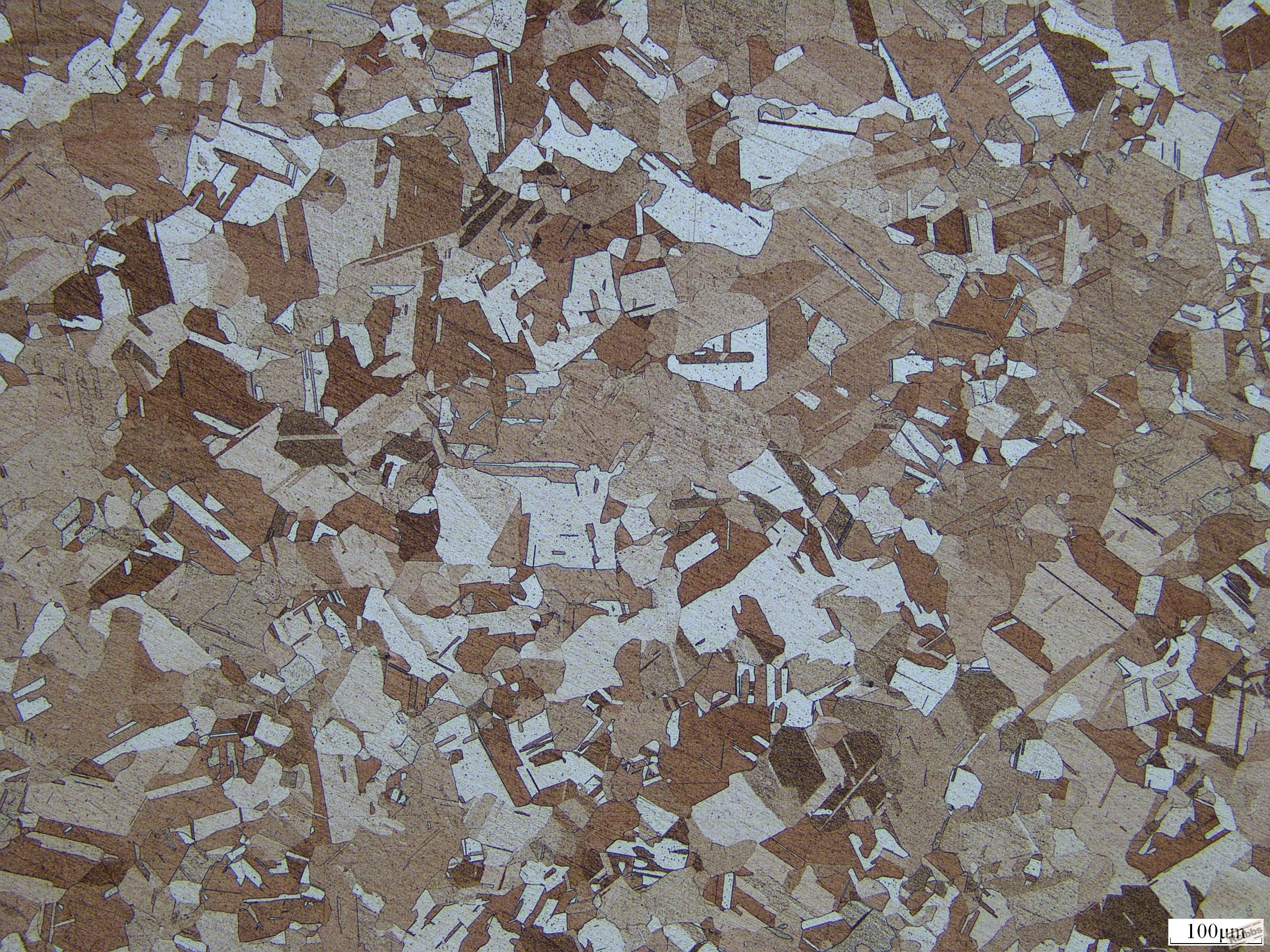 493-1 100x.JPG