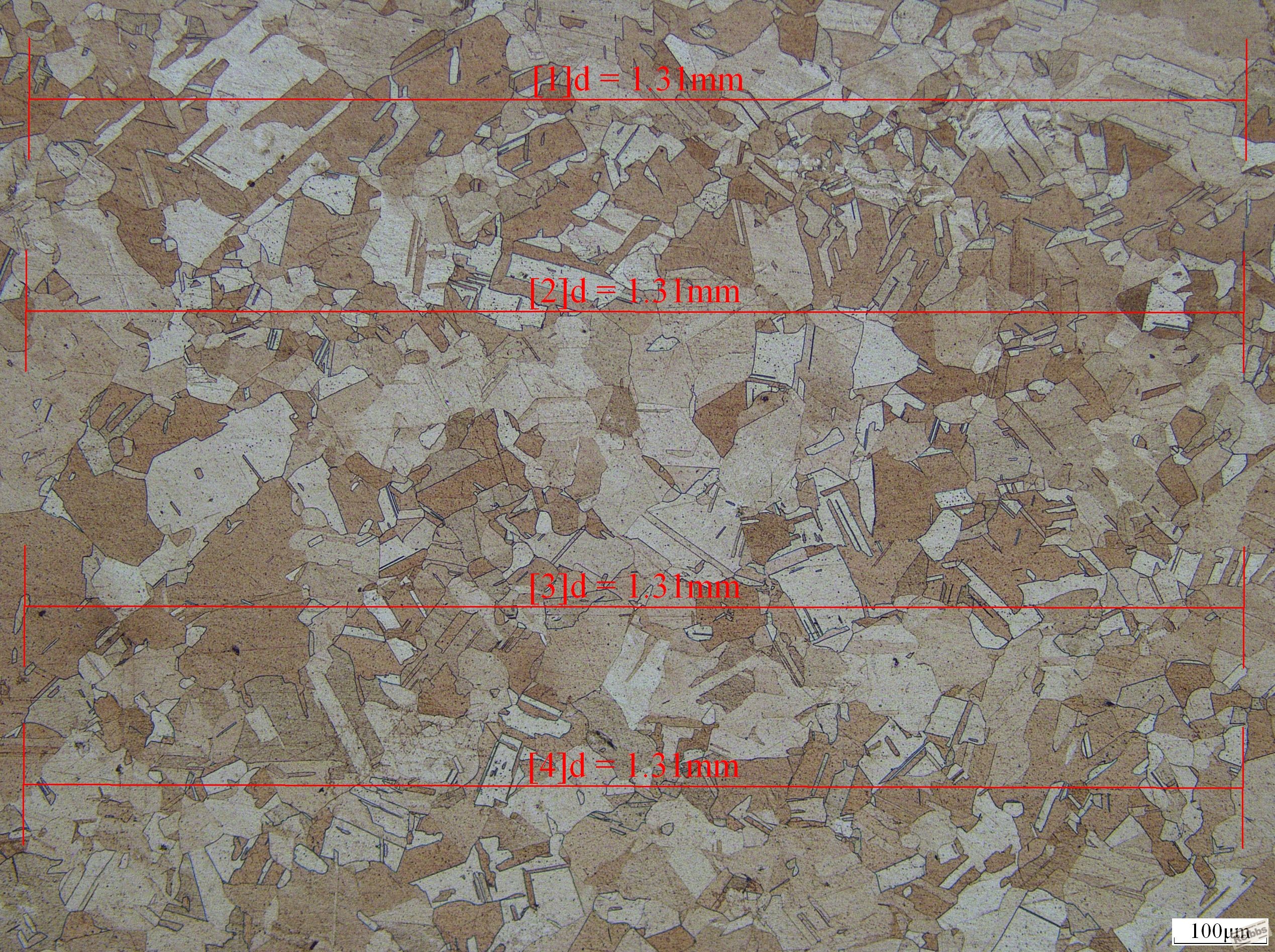 100x-2 0.JPG