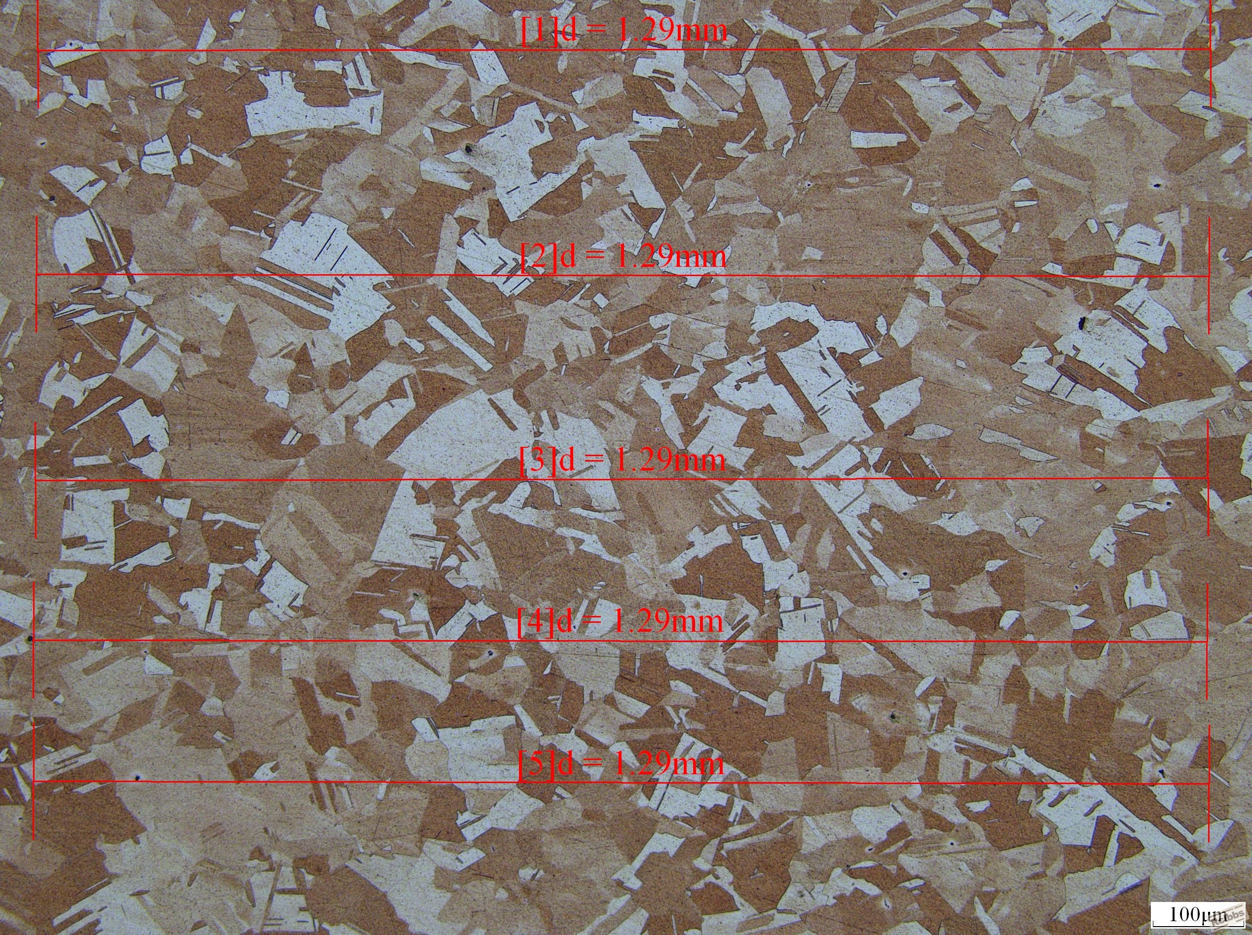 530 0.08 100x.JPG