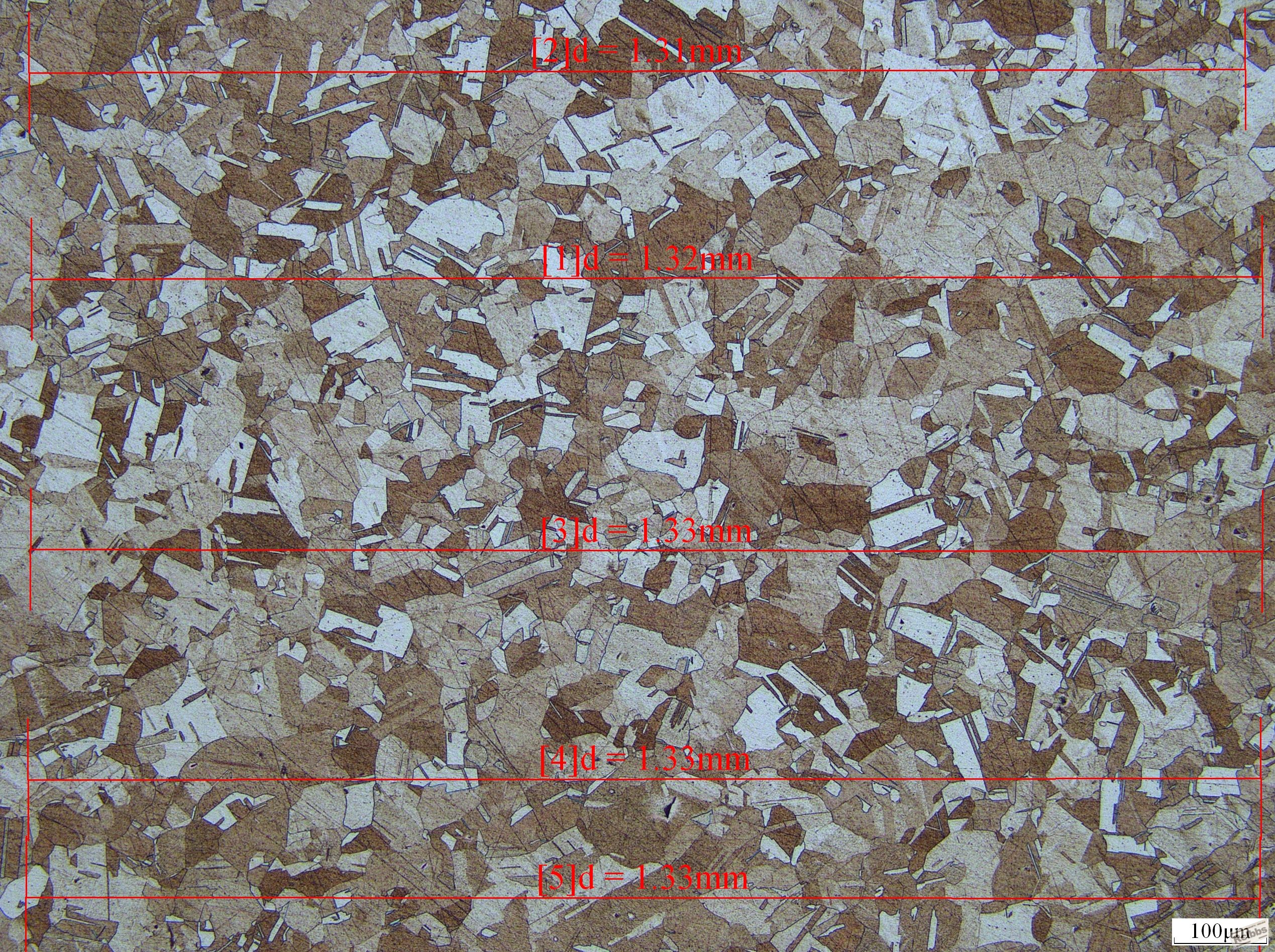 504-1  0.06mm 100x.JPG