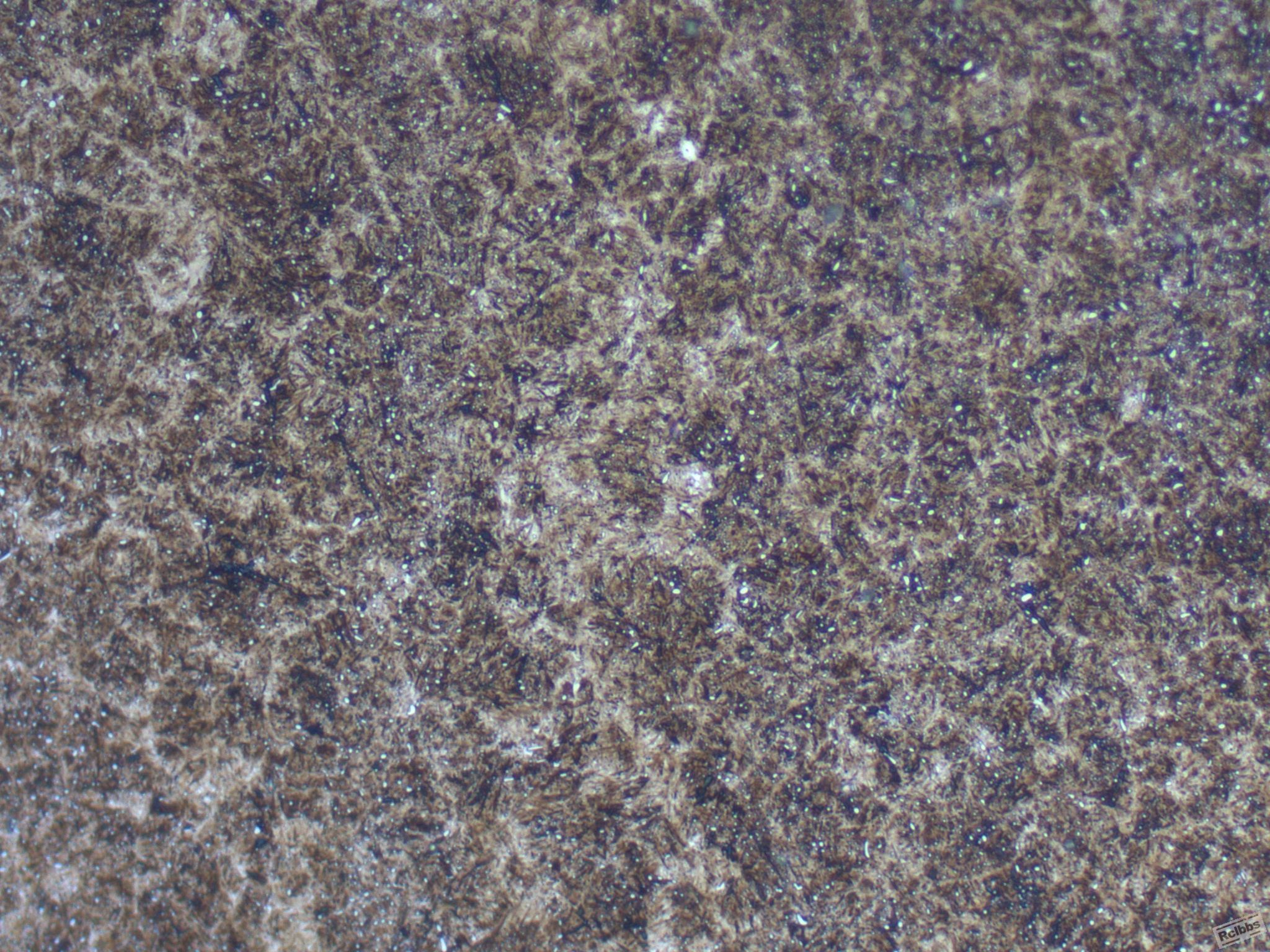 jy-22218-11.JPG
