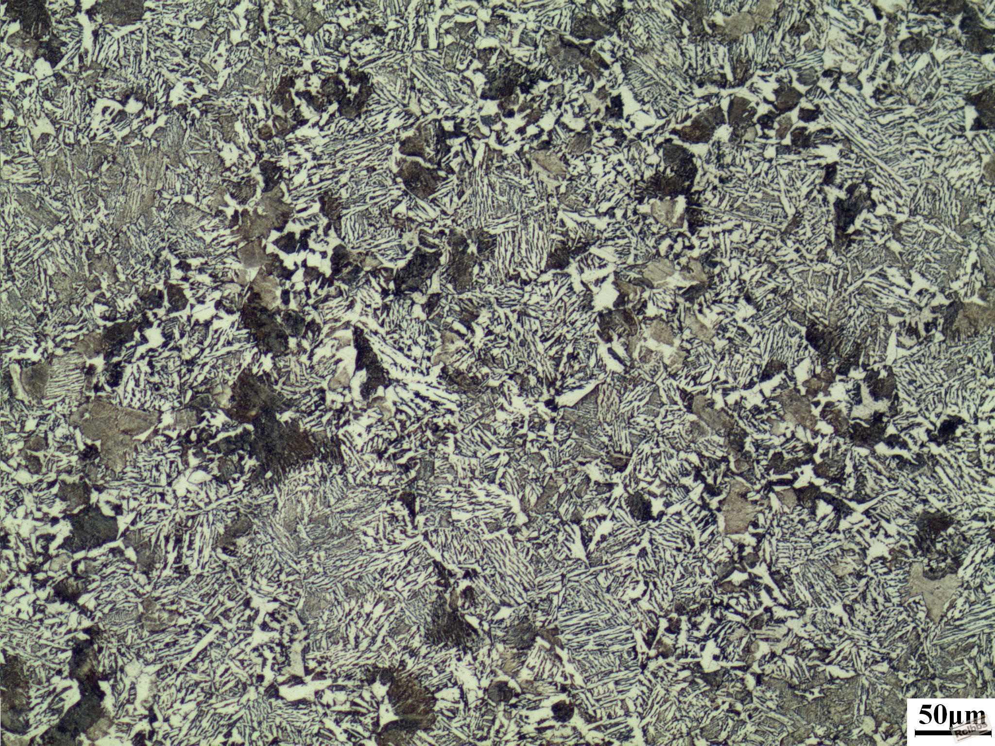ZG30Cr06-200X.JPG