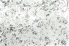 5.GIF