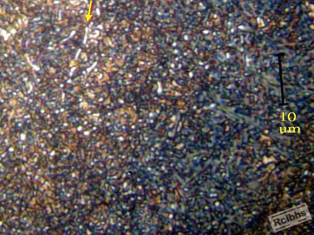 ZPB152165 A.jpg