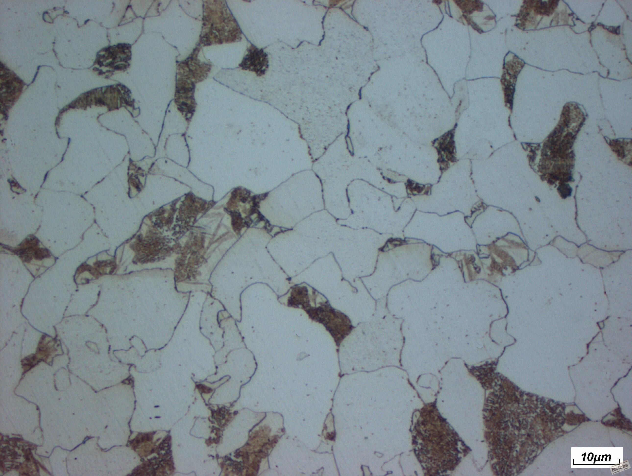 12cr1movg1000-2.jpg