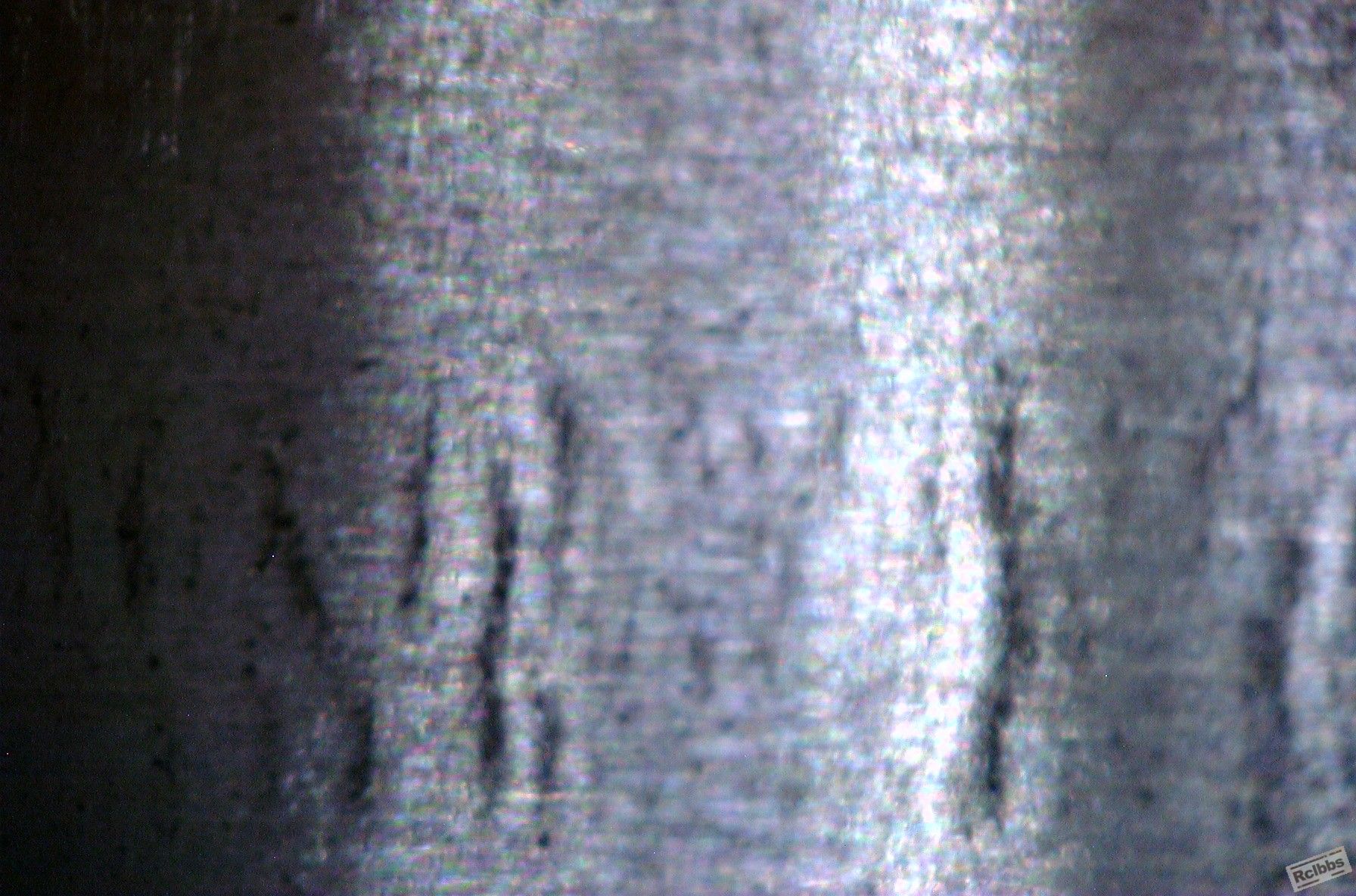 AUT_0008.jpg