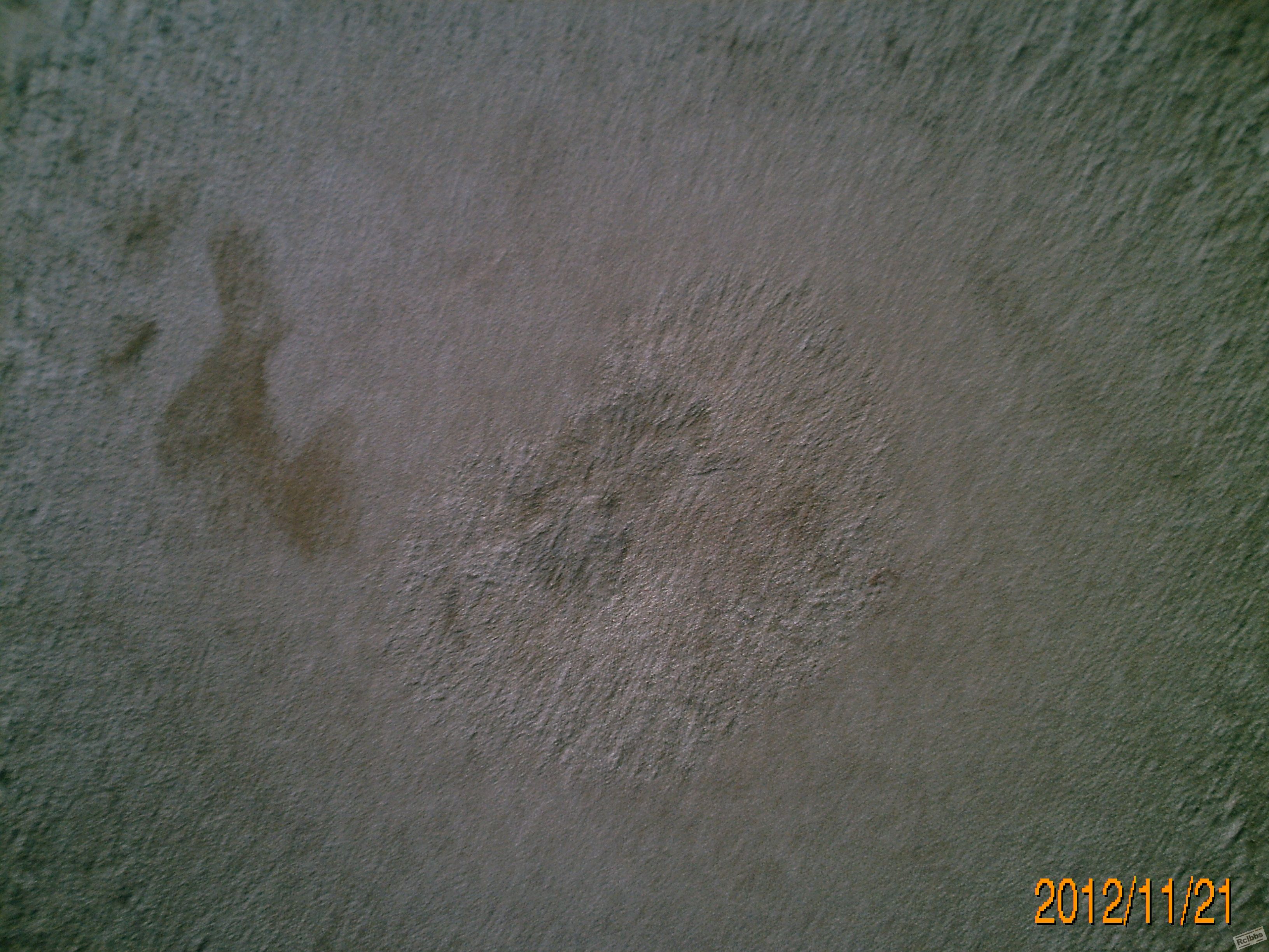 PICT1982.JPG