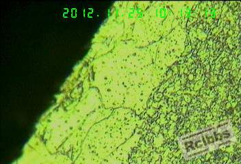 20121124-13.jpg