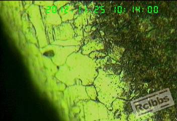 20121124-17.jpg