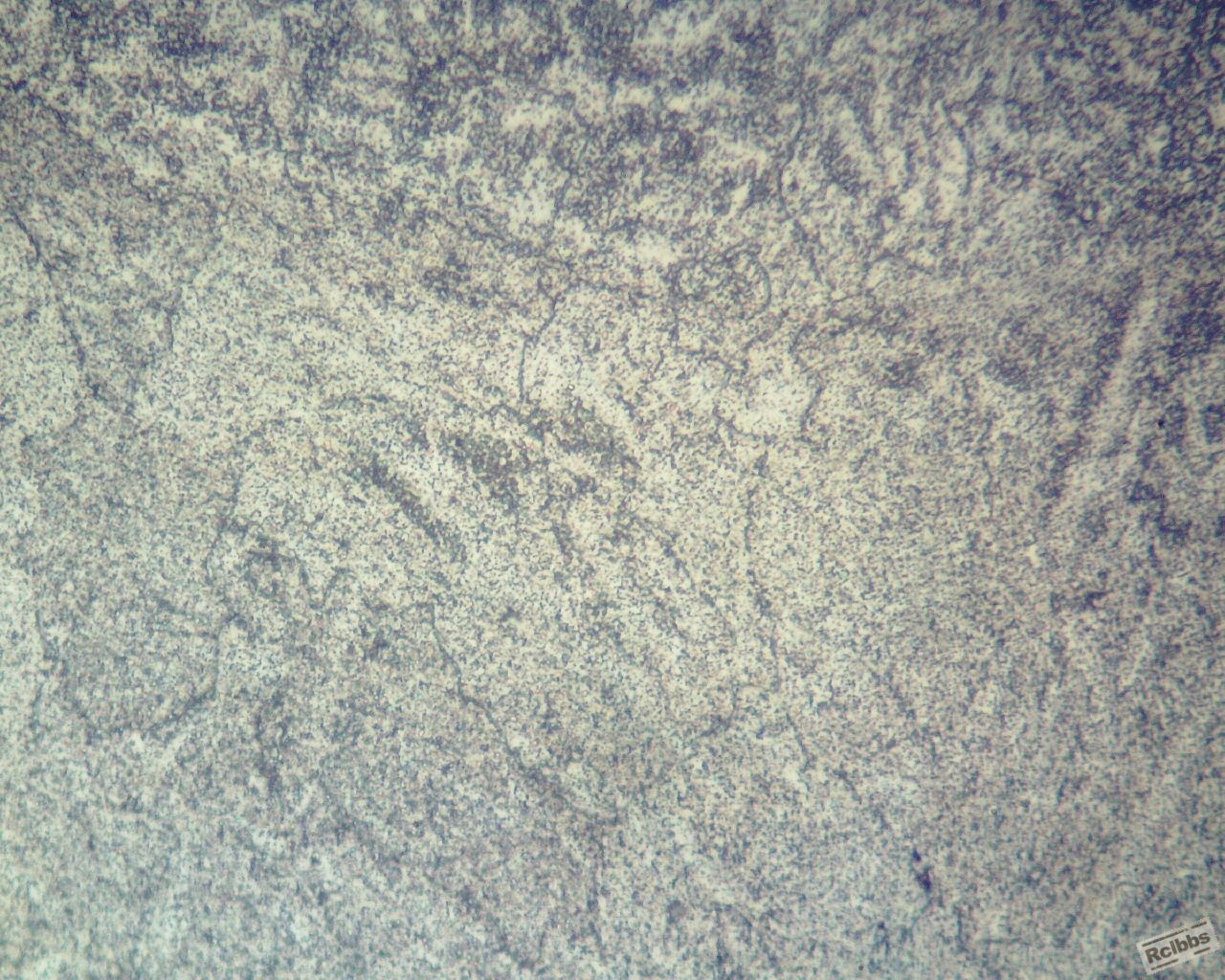 小红H13板电渣H400倍3 (1280x1024).jpg