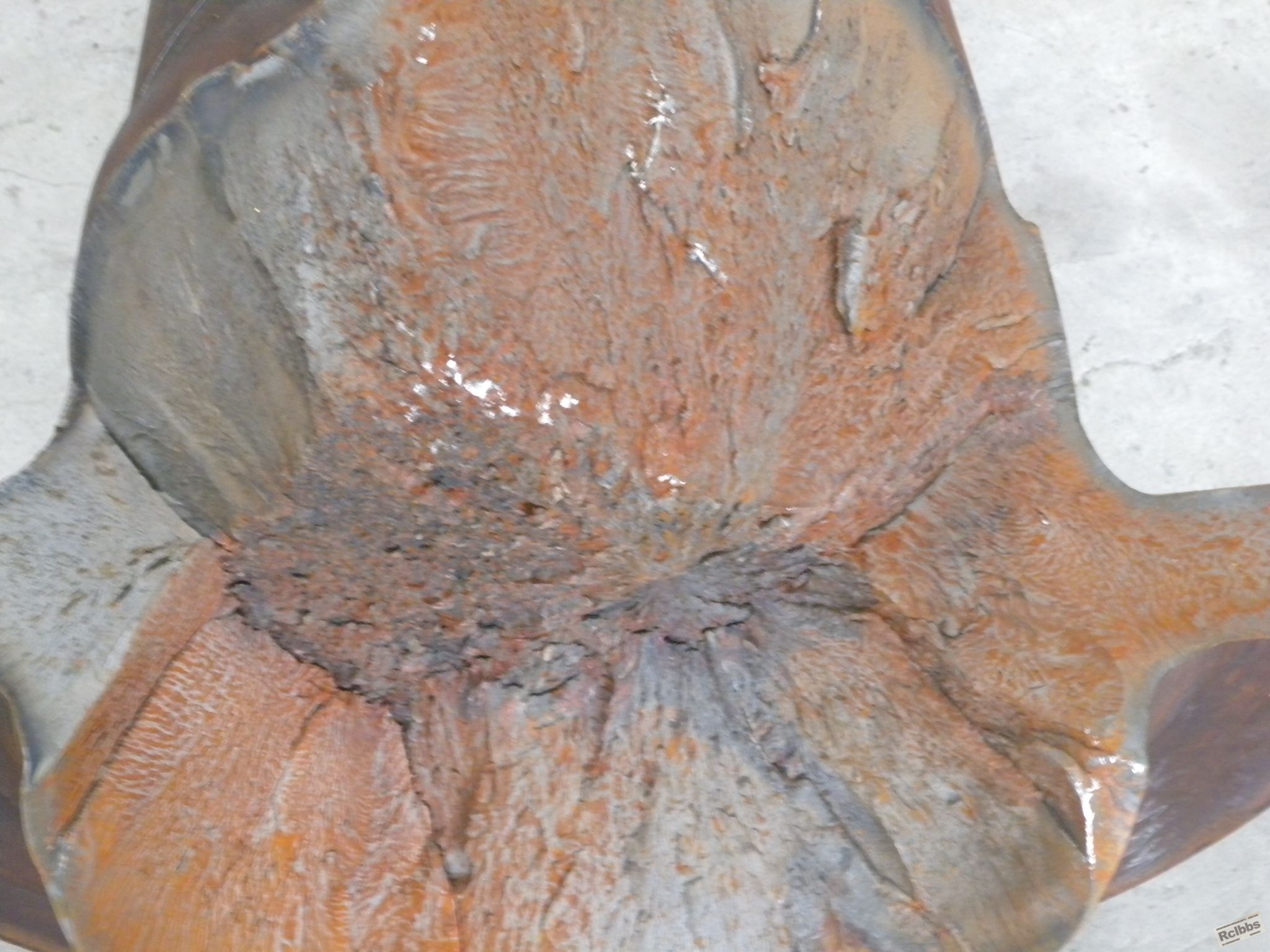 DSCN5919.JPG