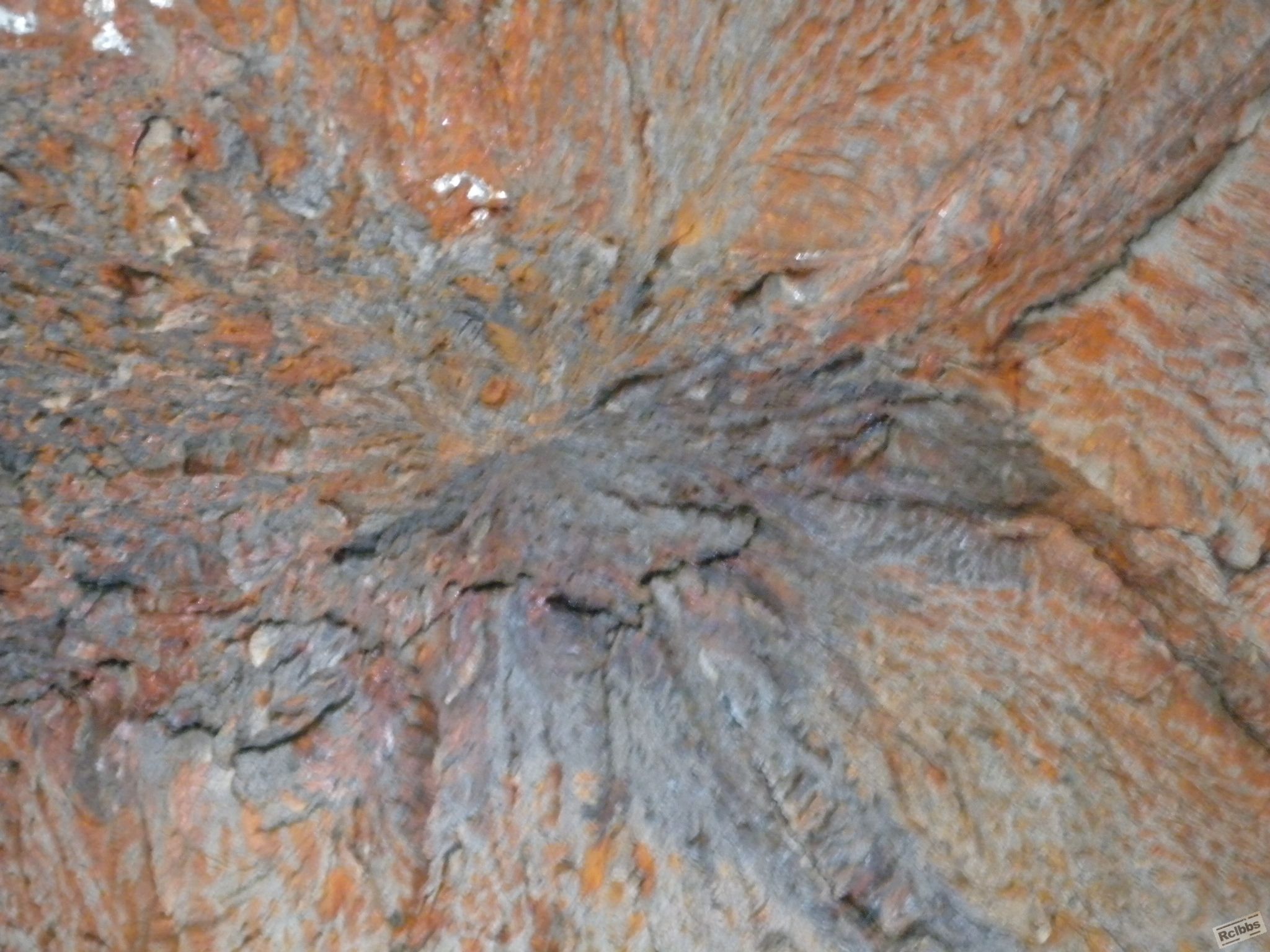DSCN5922.JPG