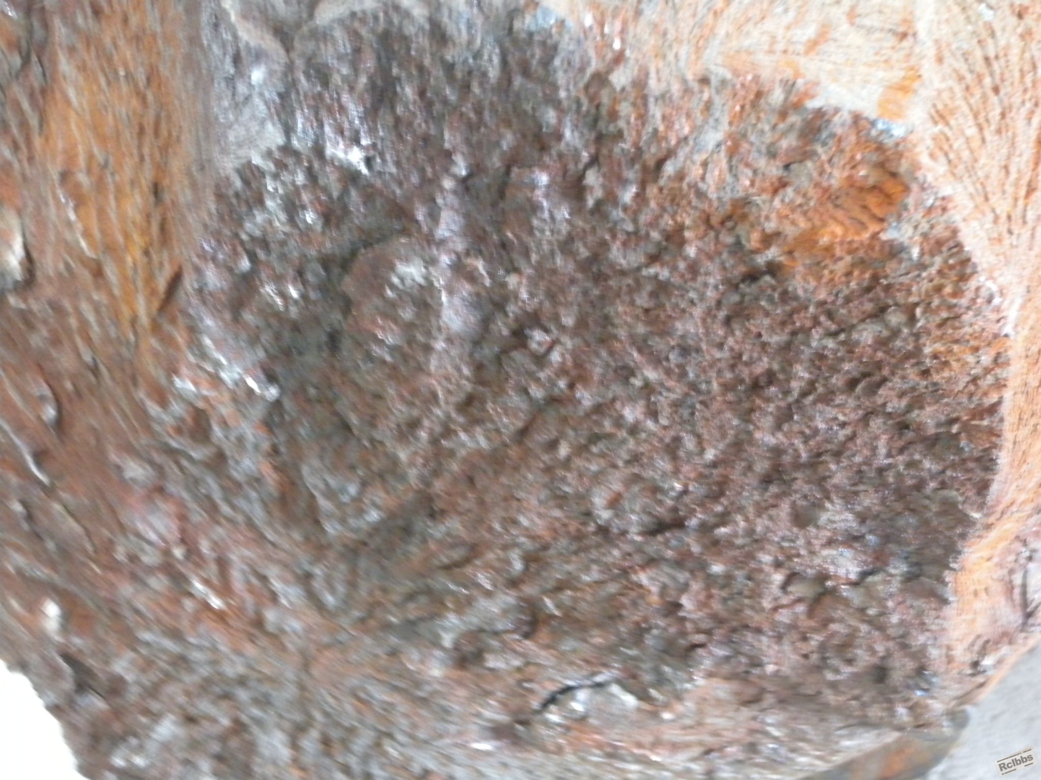 DSCN5932.JPG