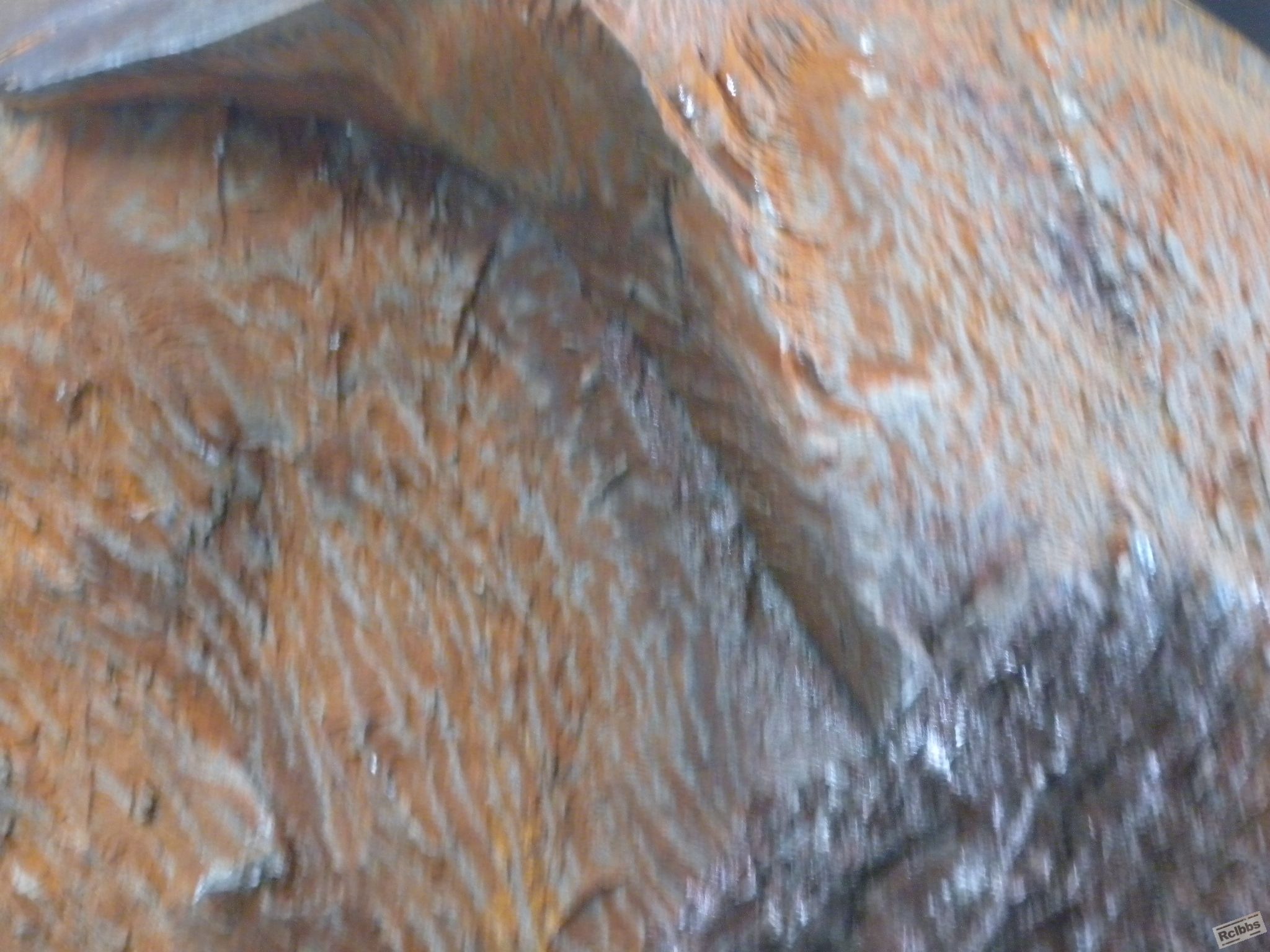 DSCN5933.JPG