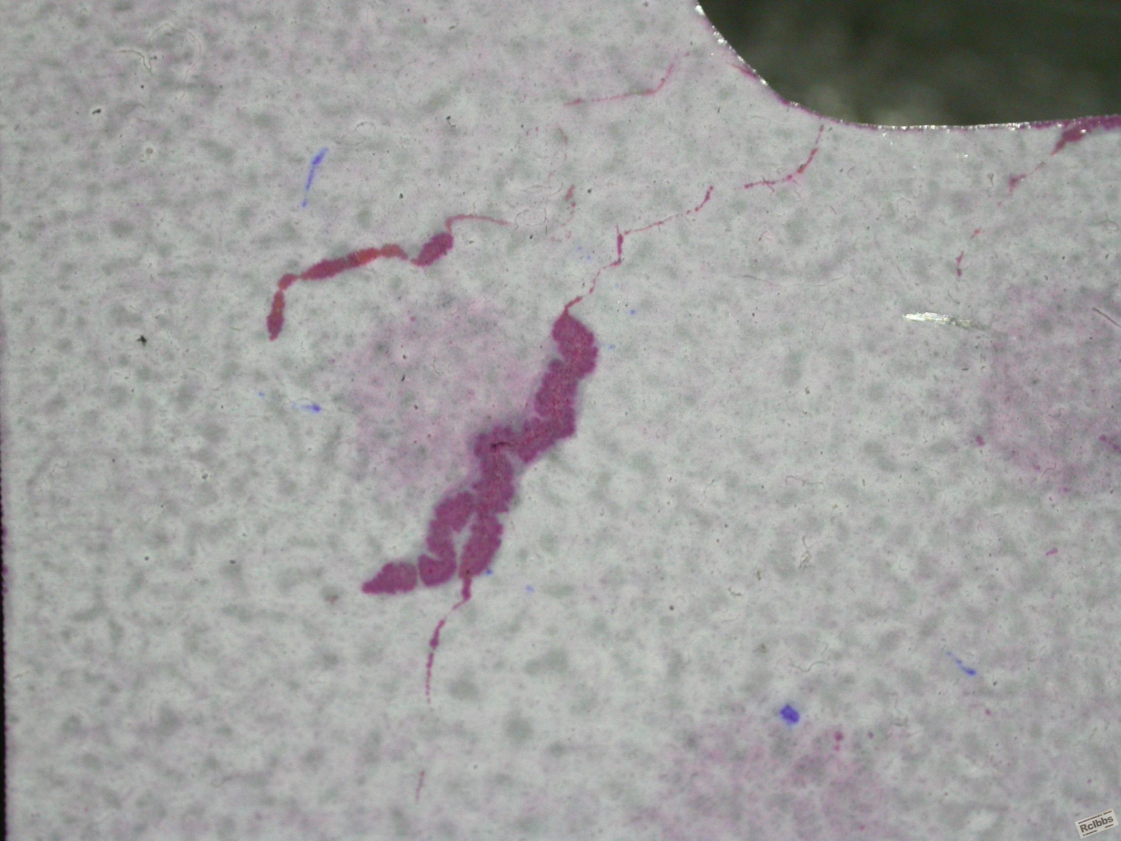DSCN8866.JPG